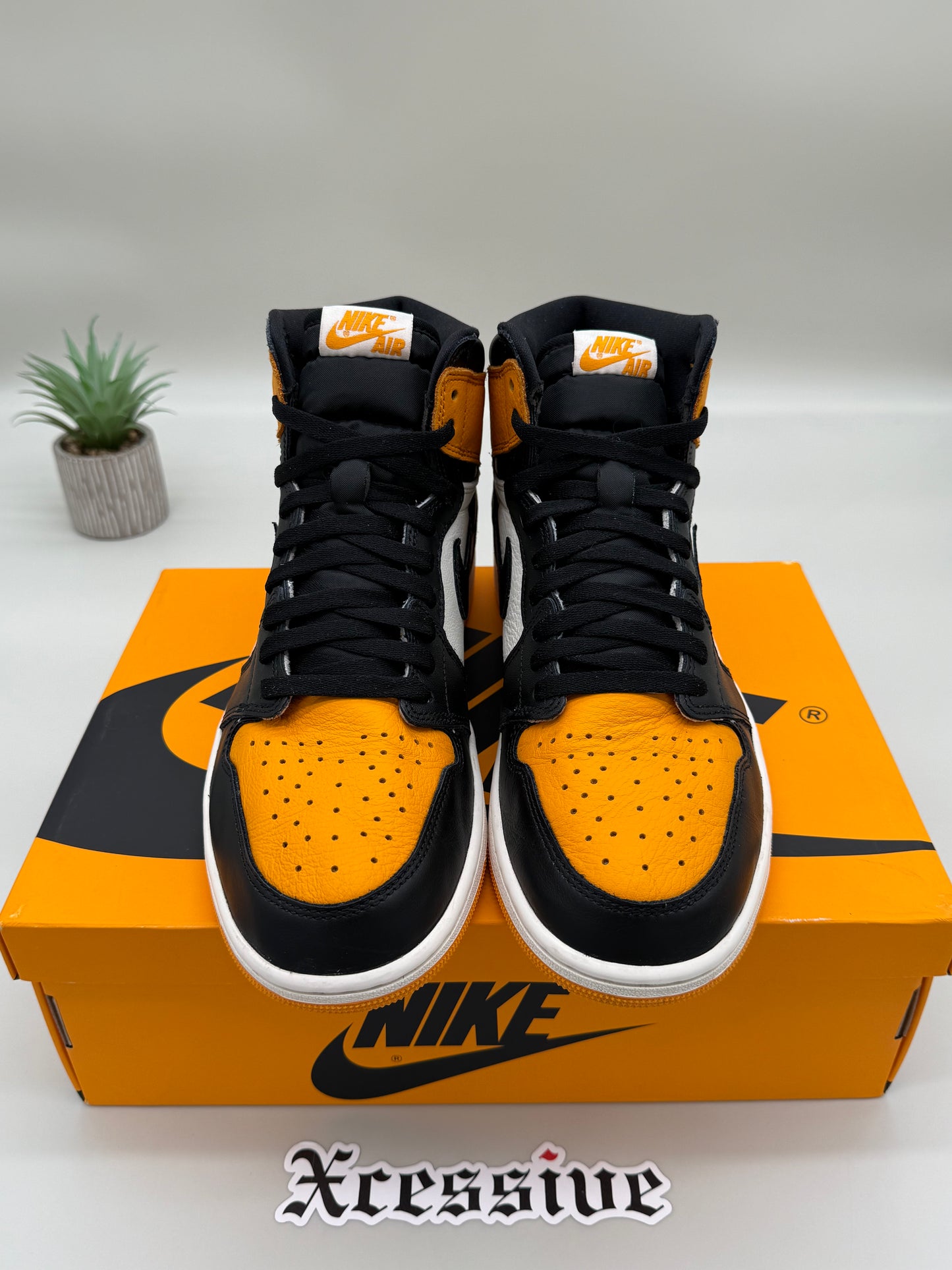 Jordan 1 Taxi