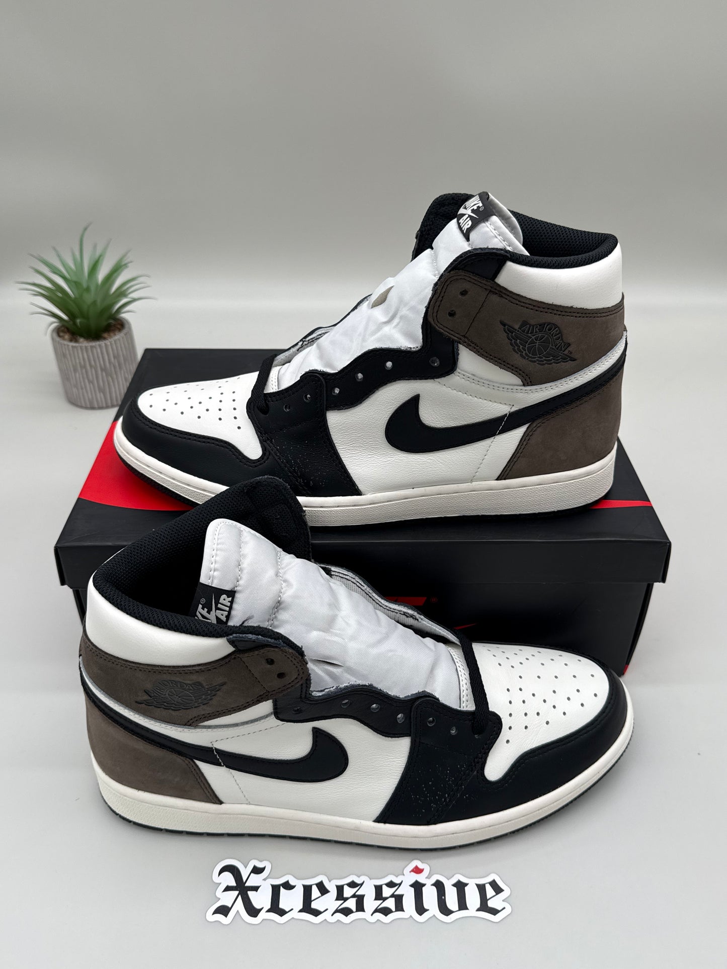 Jordan 1 Mocha