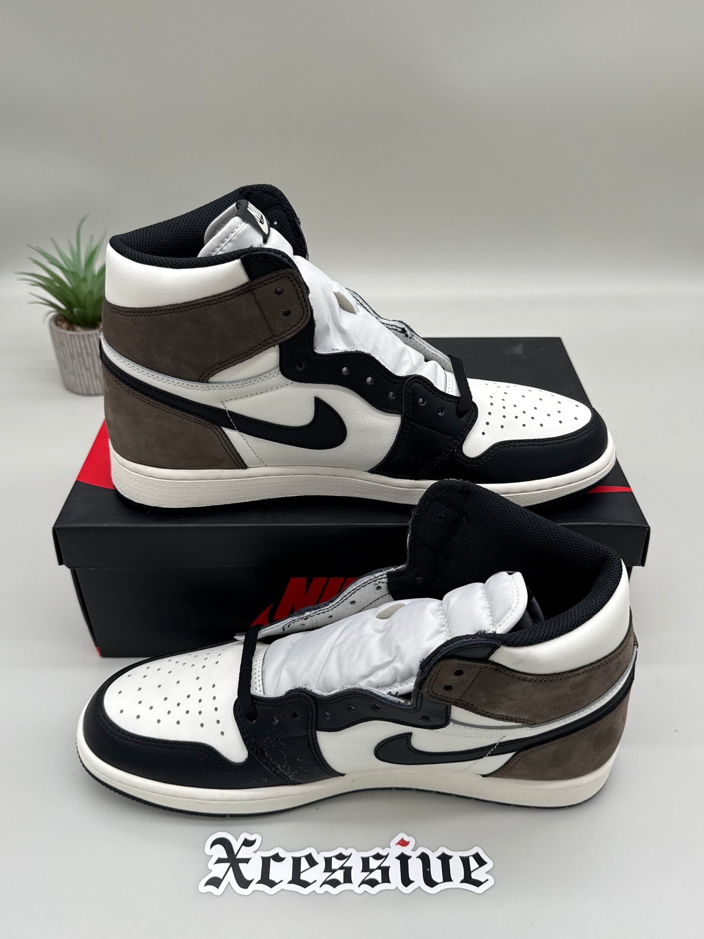 Jordan 1 Mocha