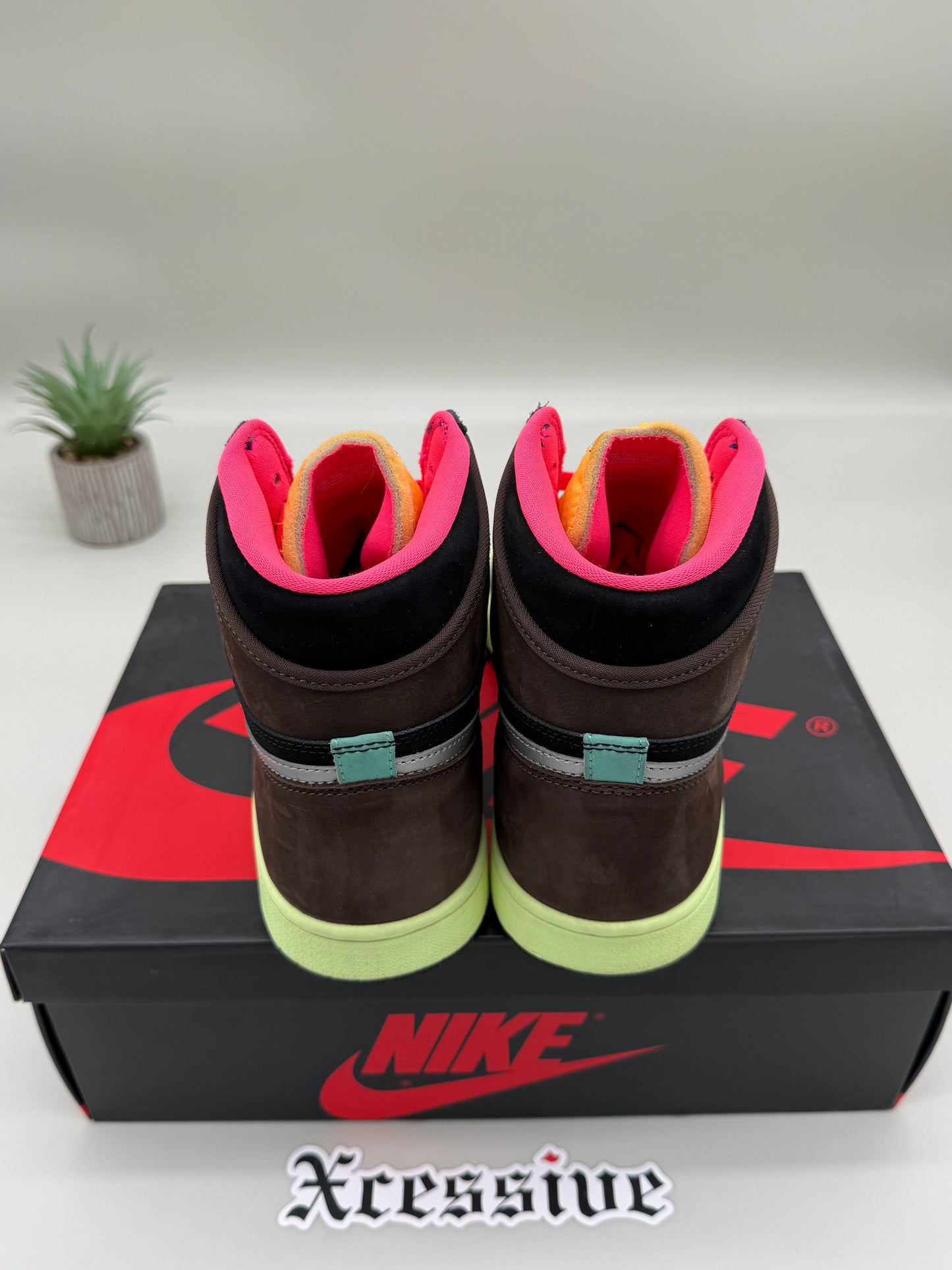 Jordan 1 Bio Hack