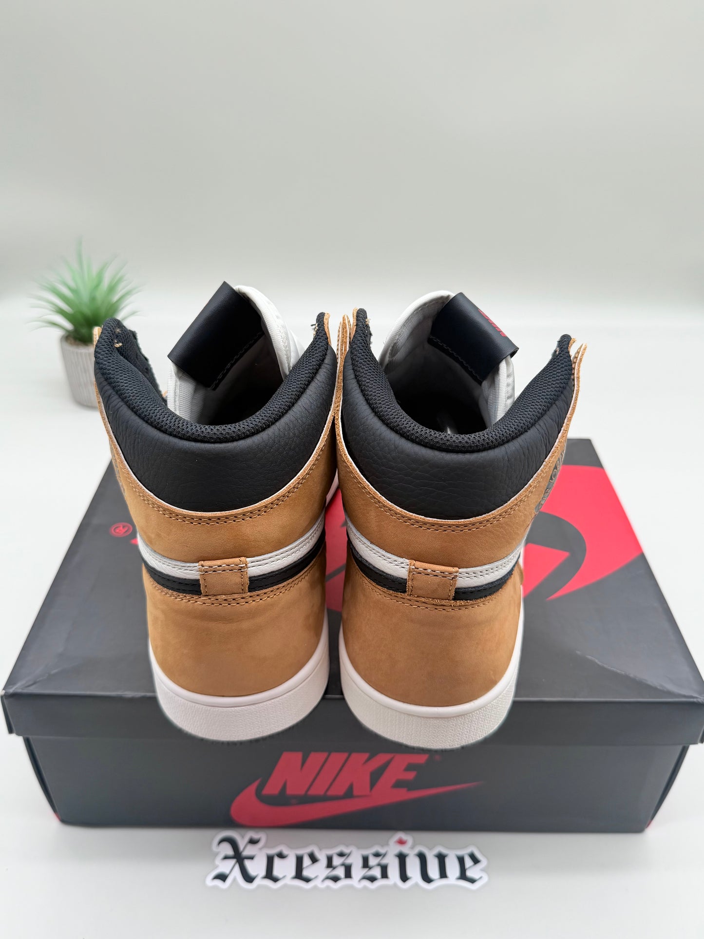 Jordan 1 Rookie of the Year
