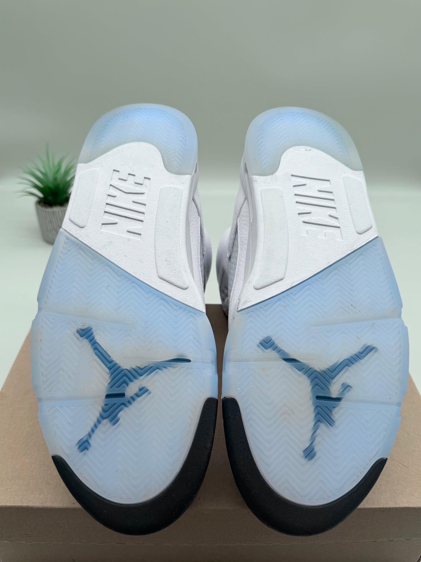 Jordan 5 White Metallic