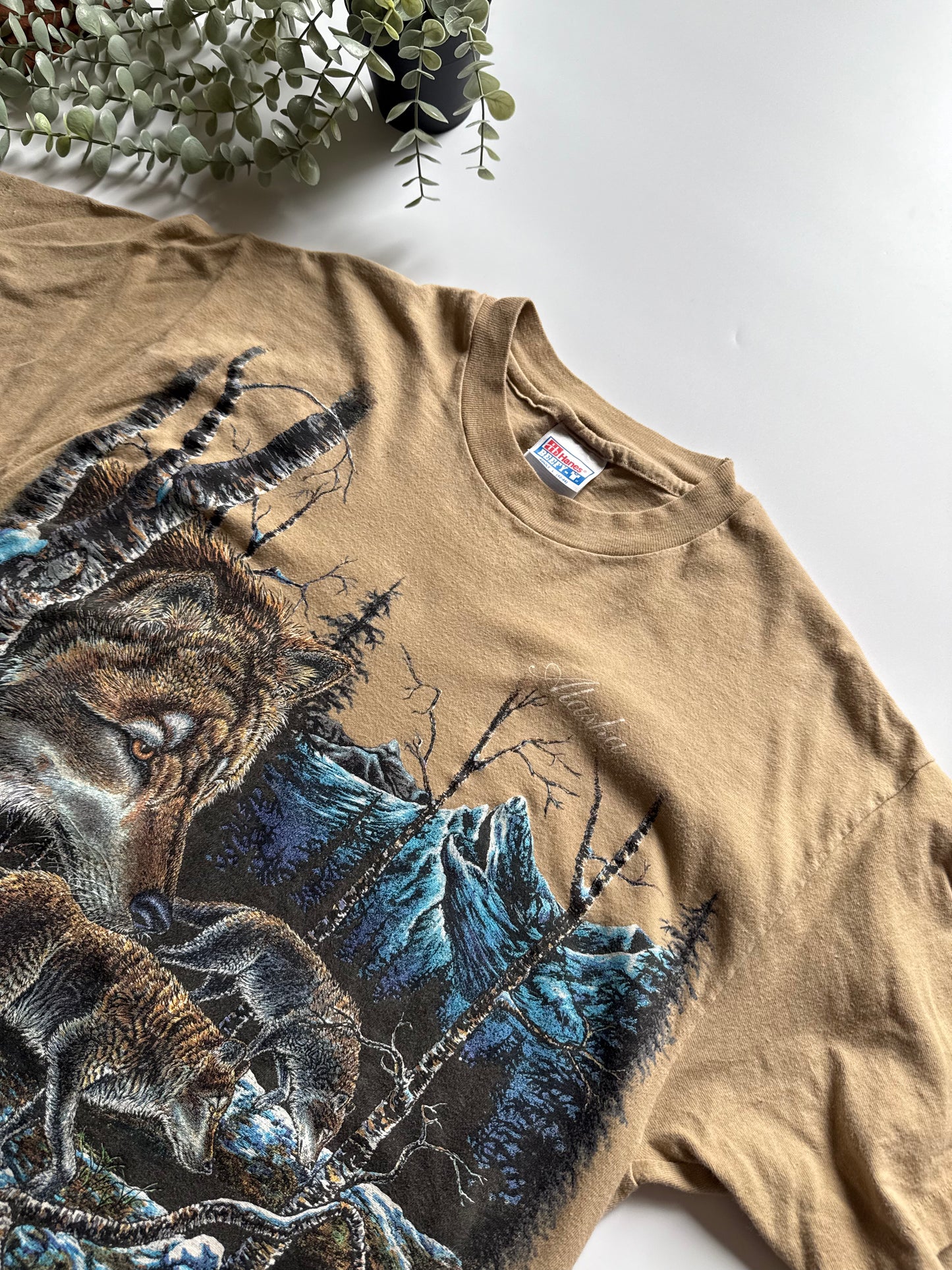 Vintage 1995 Alaska Tee