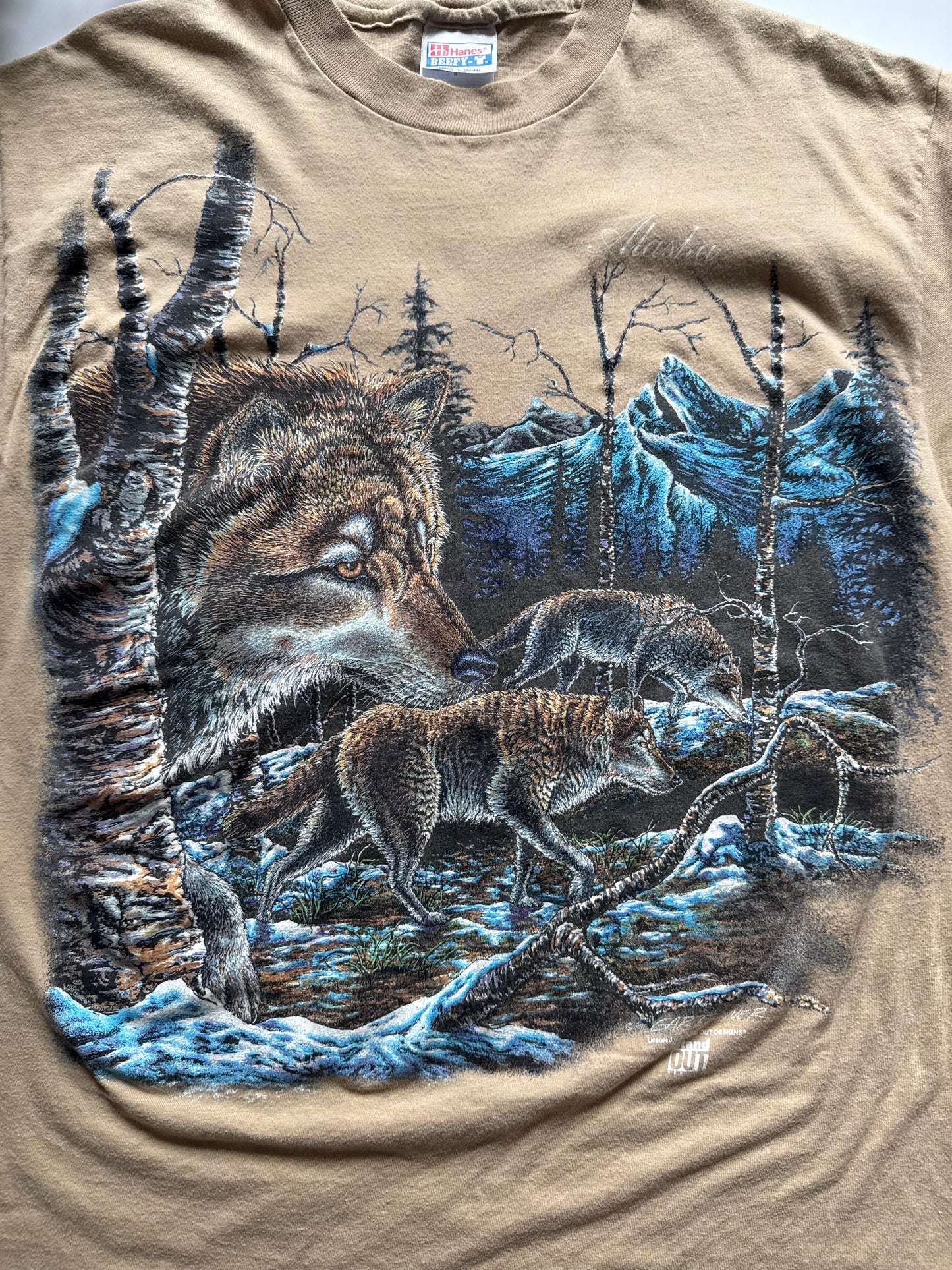 Vintage 1995 Alaska Tee