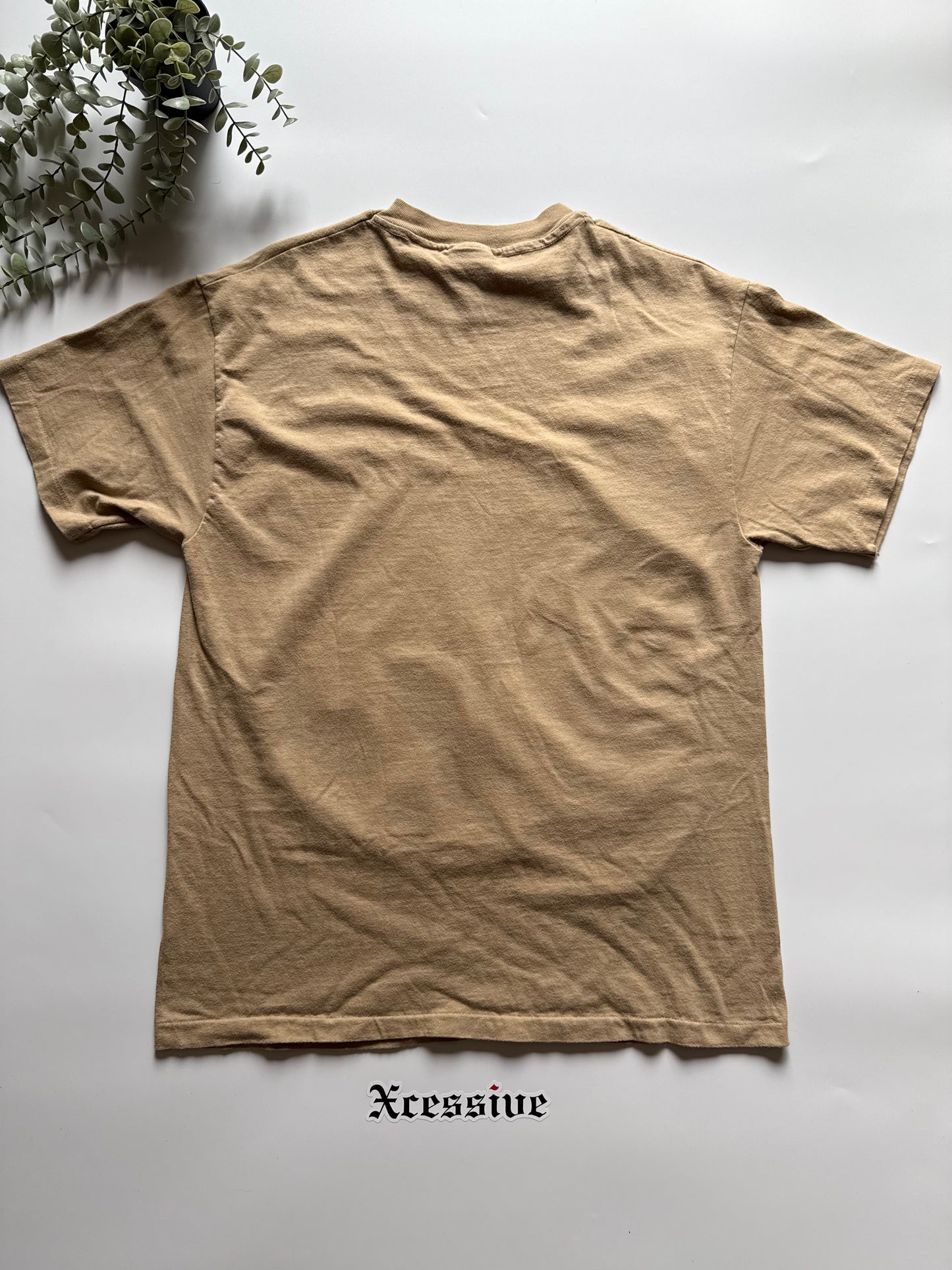 Vintage 1995 Alaska Tee