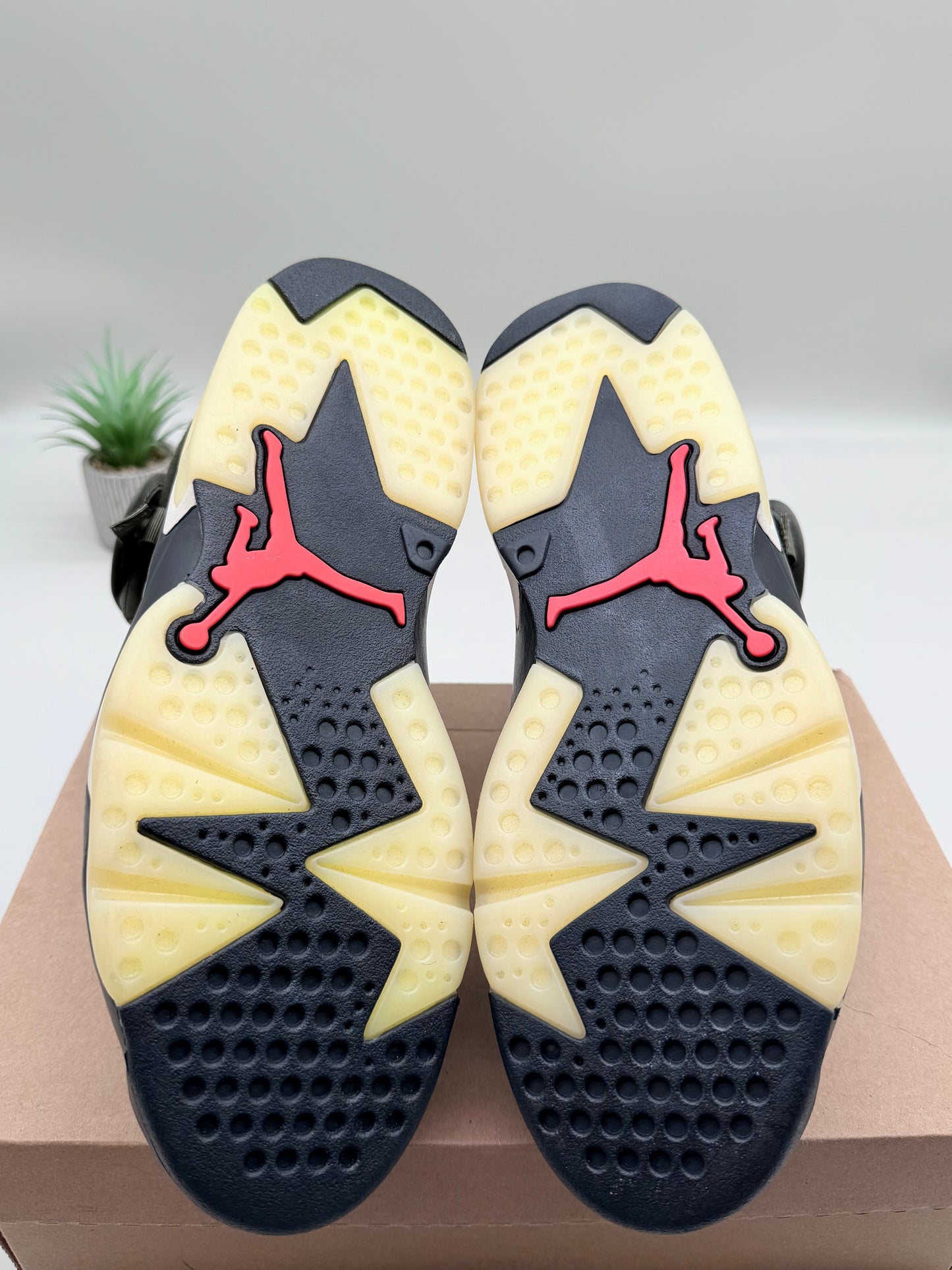Jordan 6 Travis Scott Olive