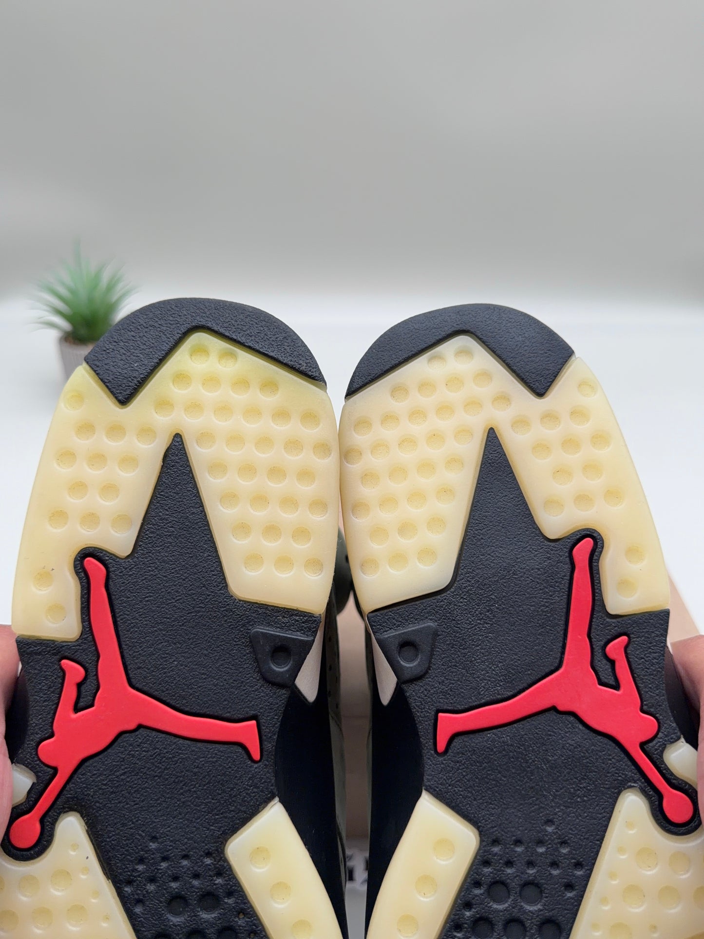 Jordan 6 Travis Scott Olive