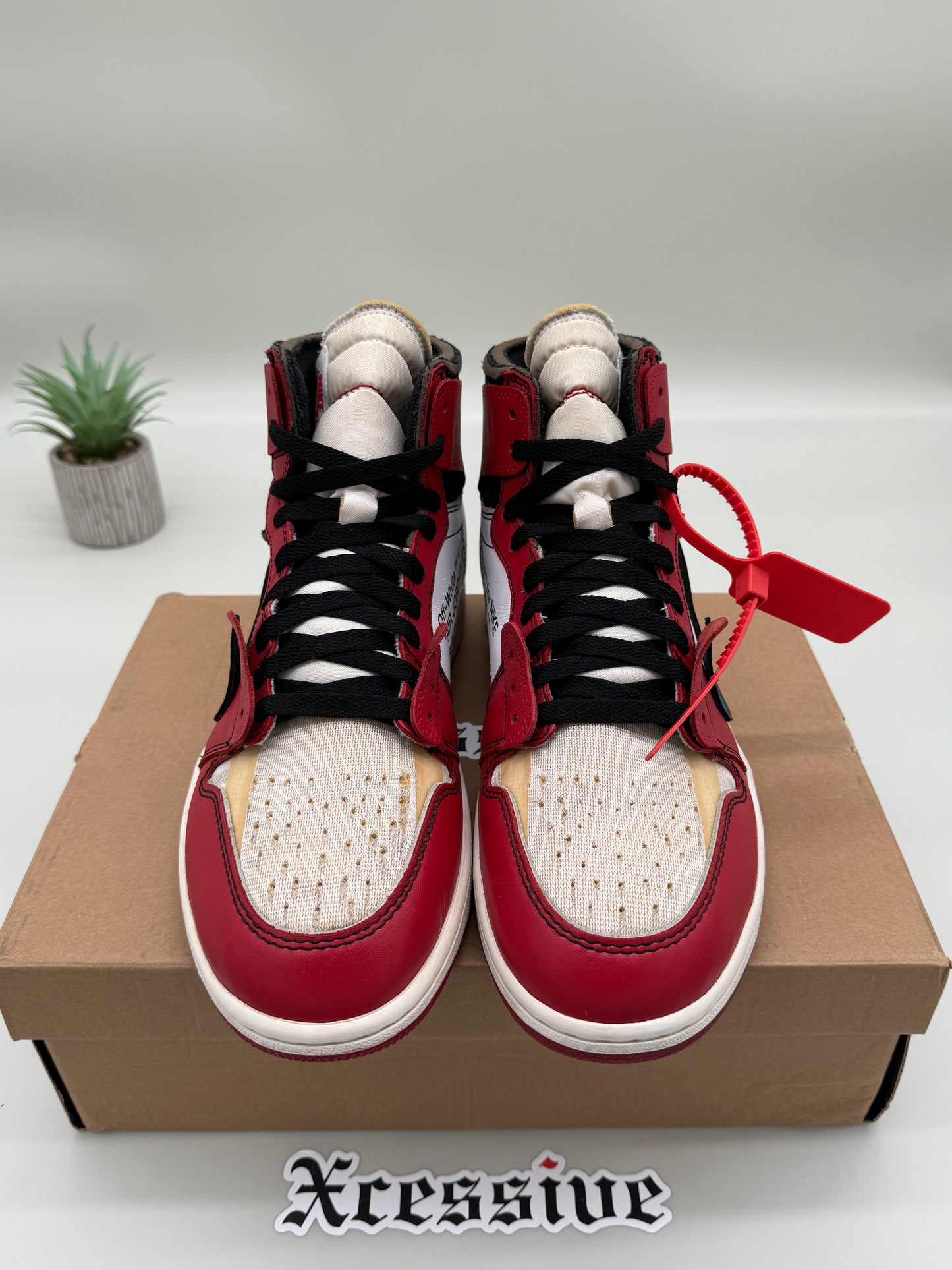 Off-White Jordan 1 Chicago