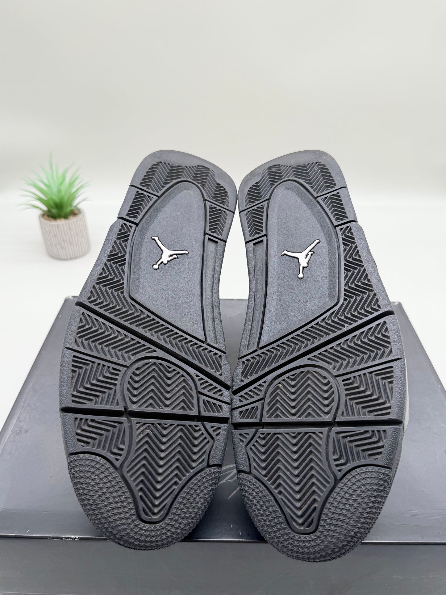 Jordan 4 Black Cat (2020)