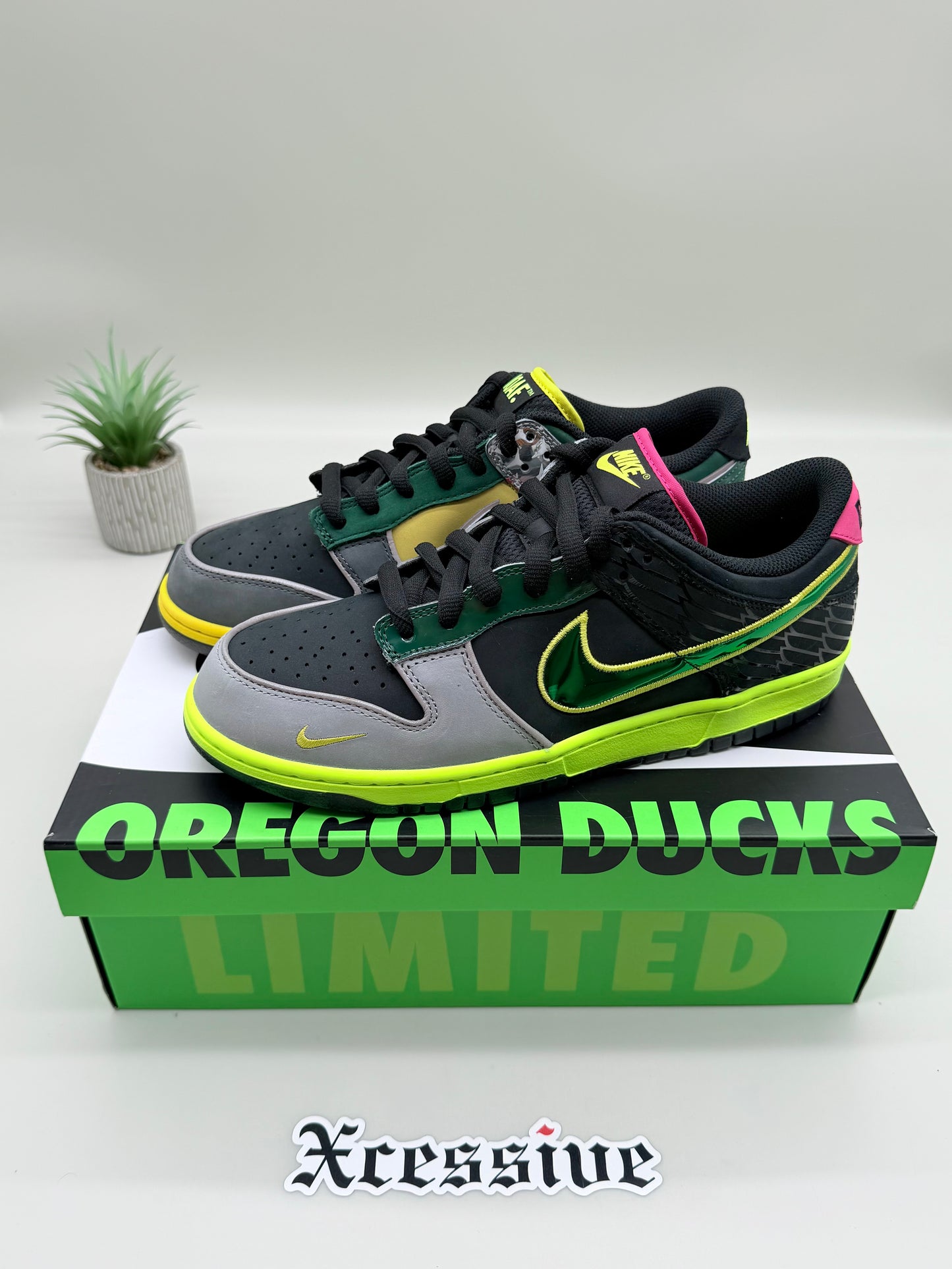 Nike Dunk Low Oregon What the Duck Home