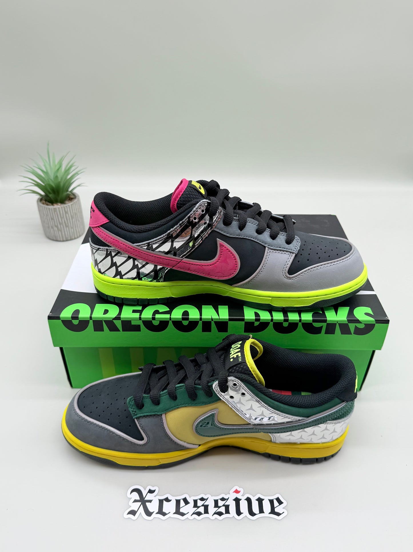 Nike Dunk Low Oregon What the Duck Home