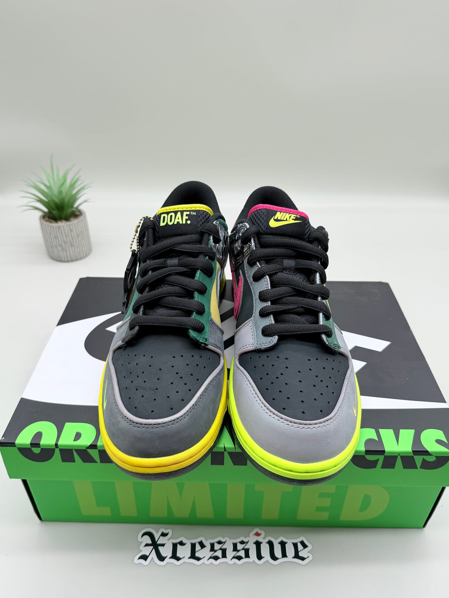 Nike Dunk Low Oregon What the Duck Home