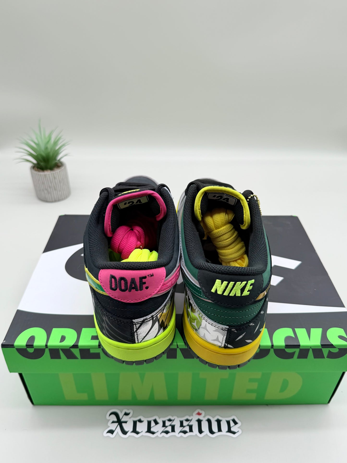 Nike Dunk Low Oregon What the Duck Home