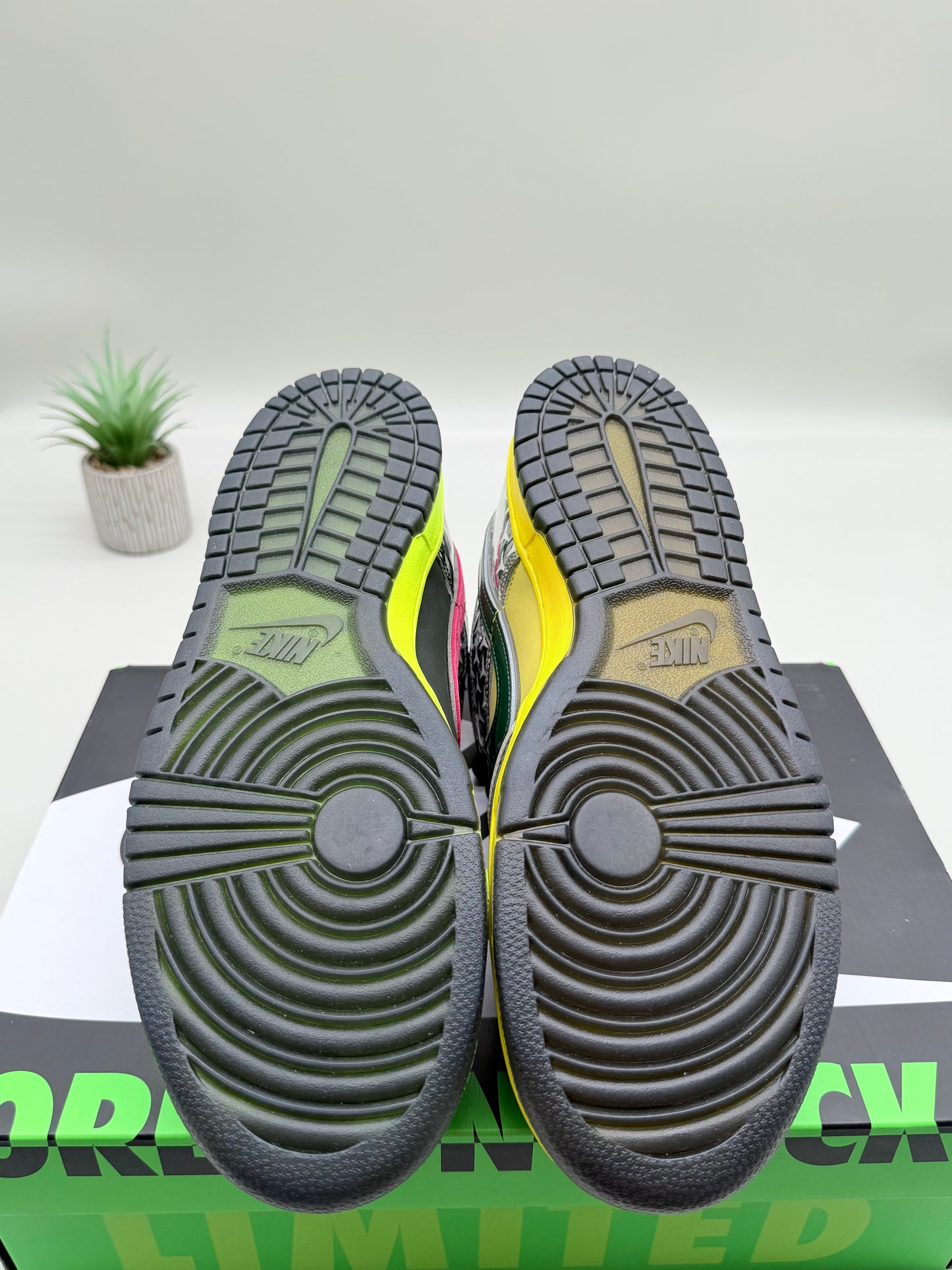 Nike Dunk Low Oregon What the Duck Home