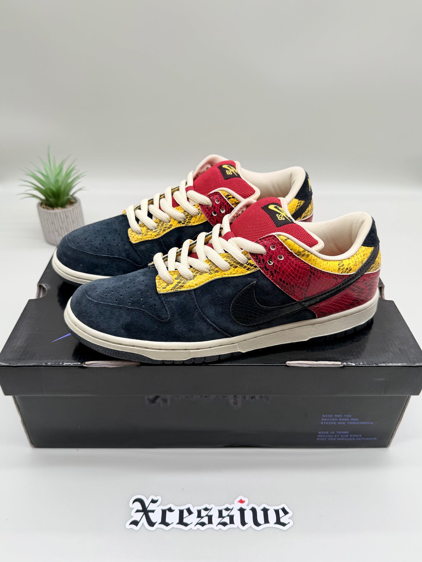 Nike SB Dunk Low Coral Snake