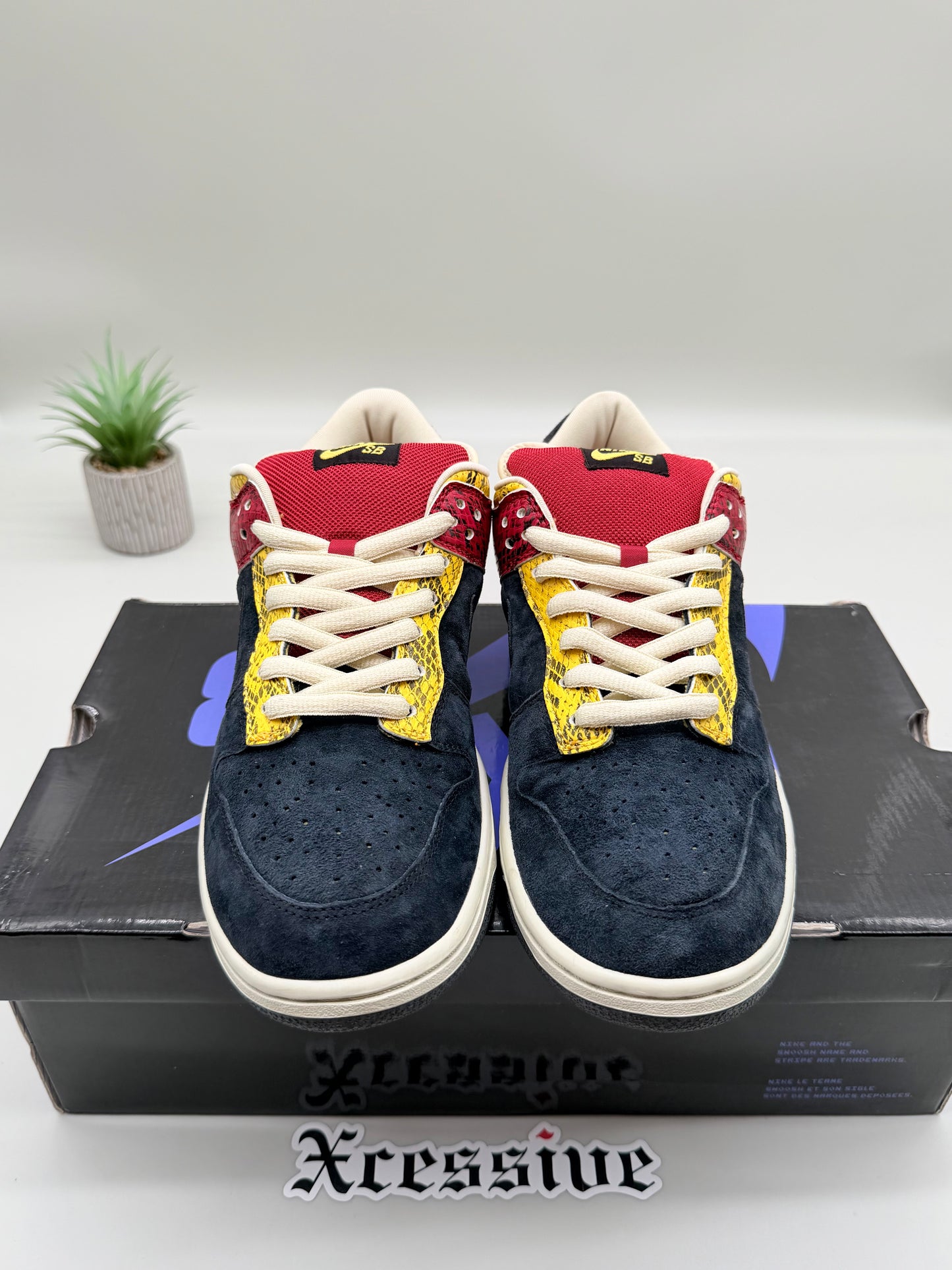 Nike SB Dunk Low Coral Snake