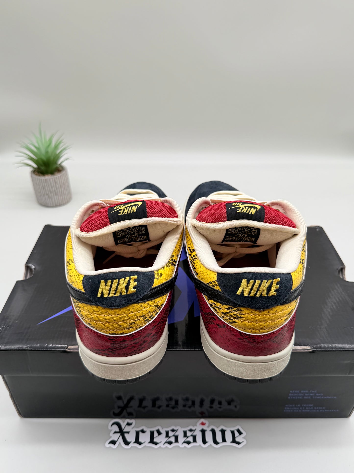 Nike SB Dunk Low Coral Snake