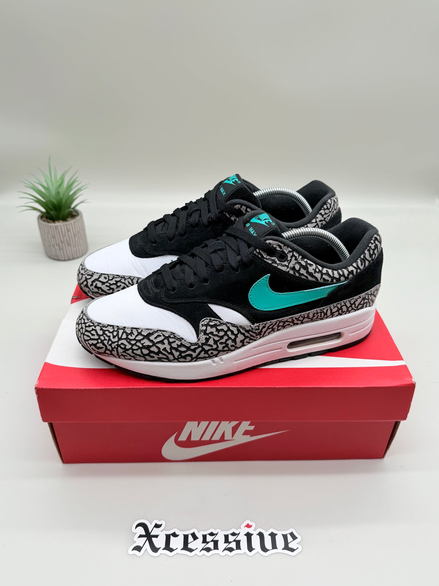 Nike Air Max 1 Atmos