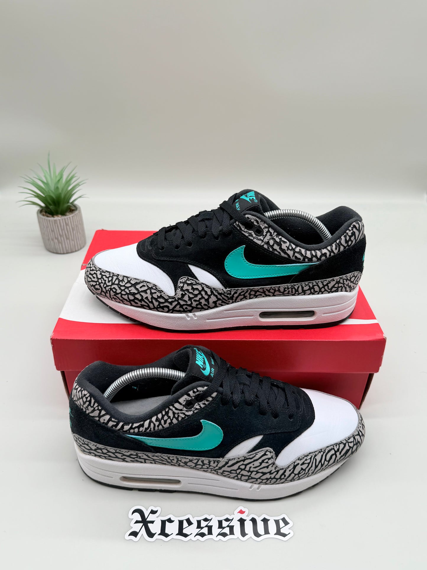 Nike Air Max 1 Atmos