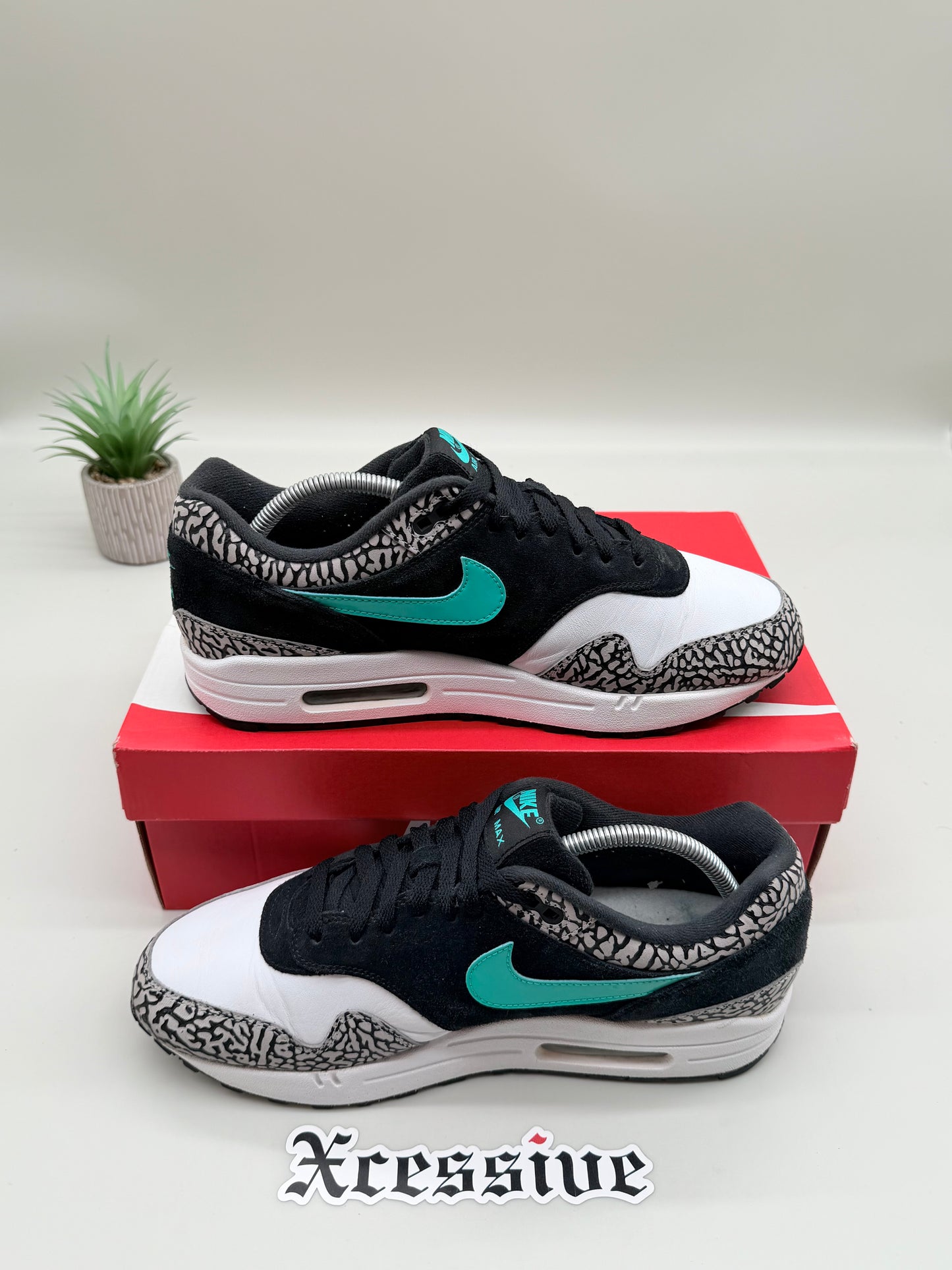 Nike Air Max 1 Atmos