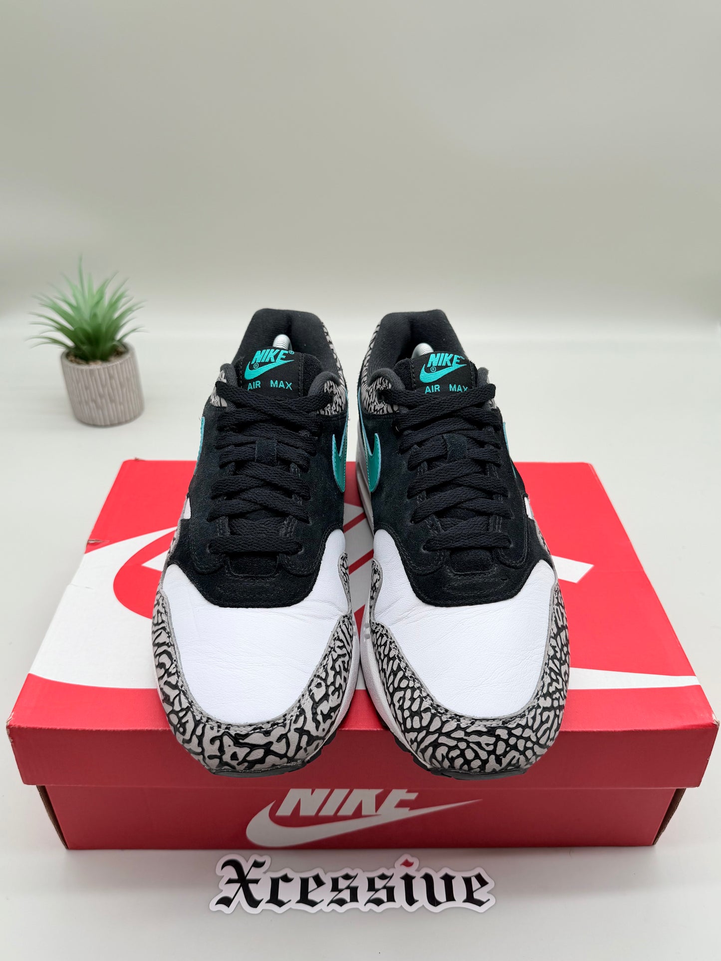 Nike Air Max 1 Atmos