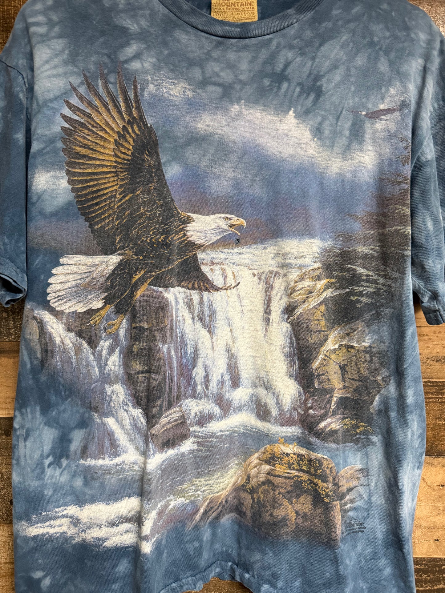 Y2K The Mountain American Eagle Tee