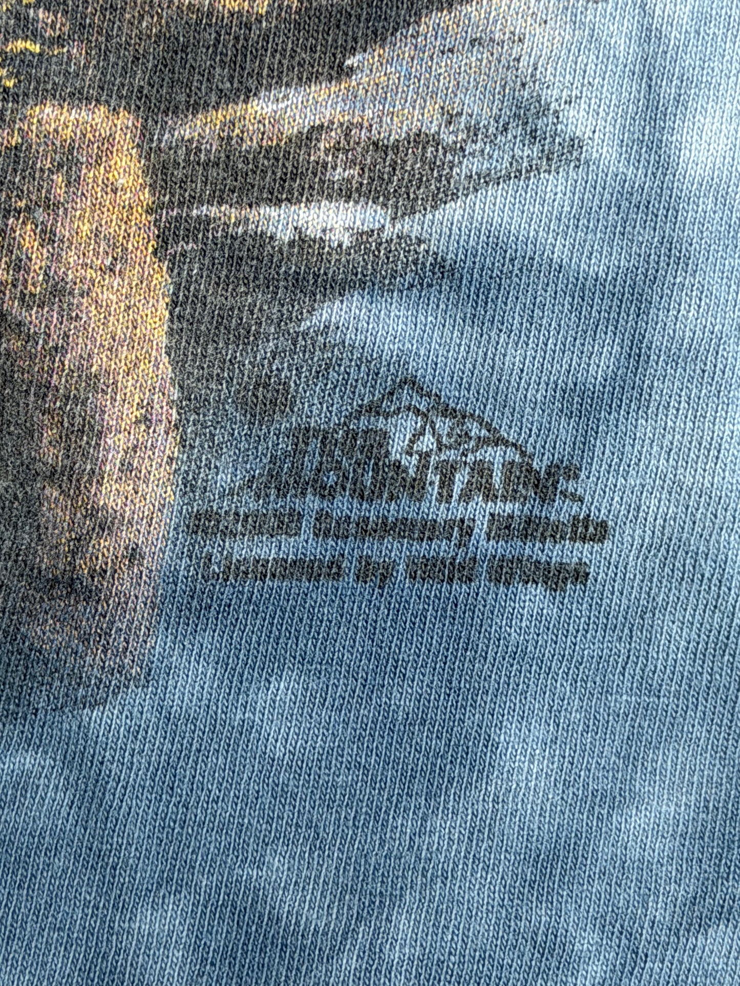 Y2K The Mountain American Eagle Tee