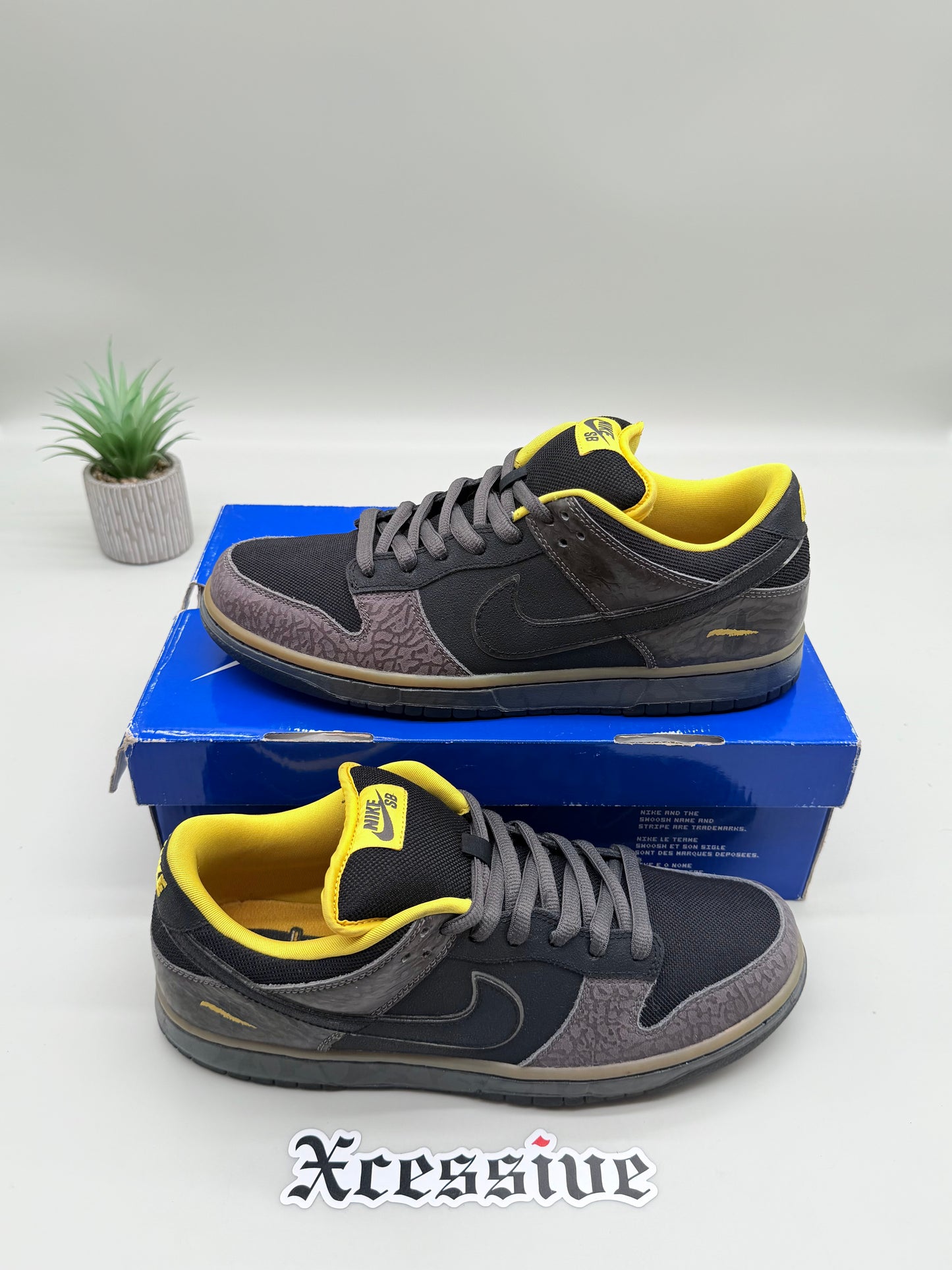 Nike SB Dunk Low Yellow Curb