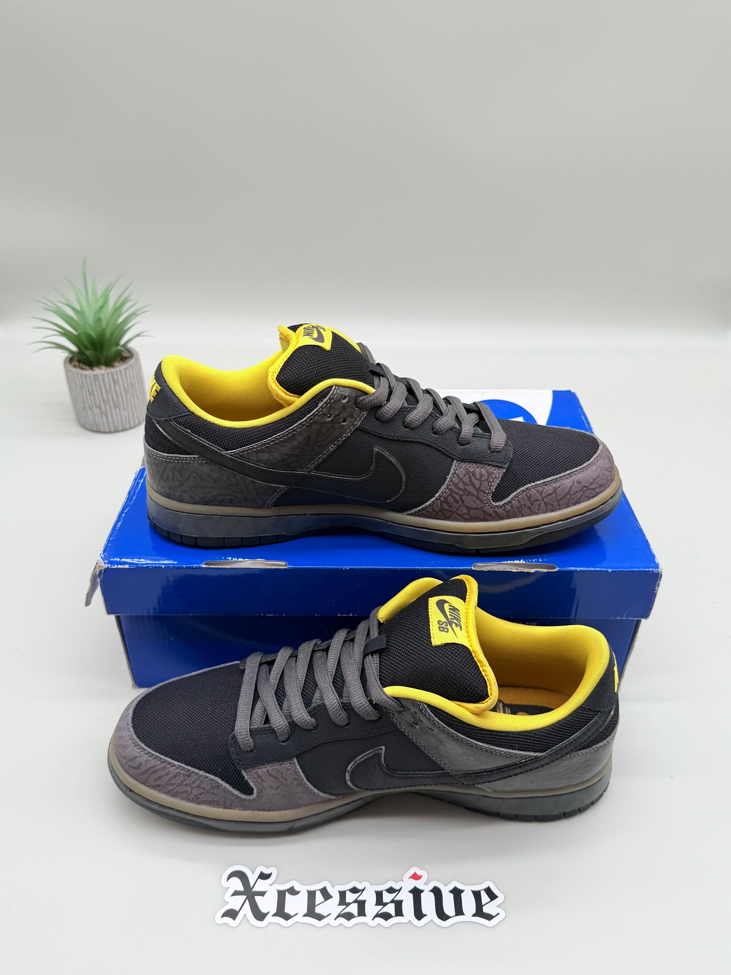Nike SB Dunk Low Yellow Curb