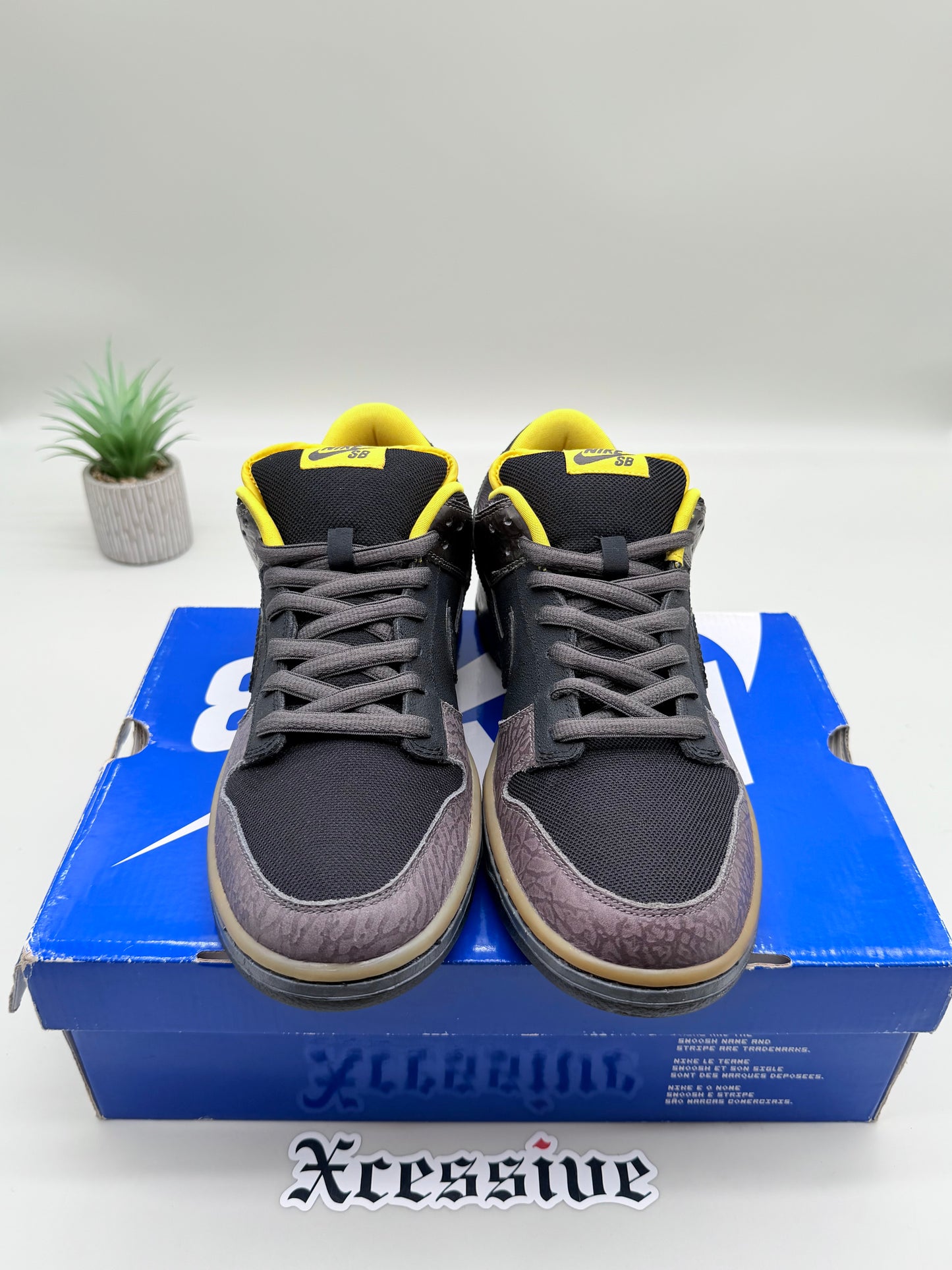 Nike SB Dunk Low Yellow Curb