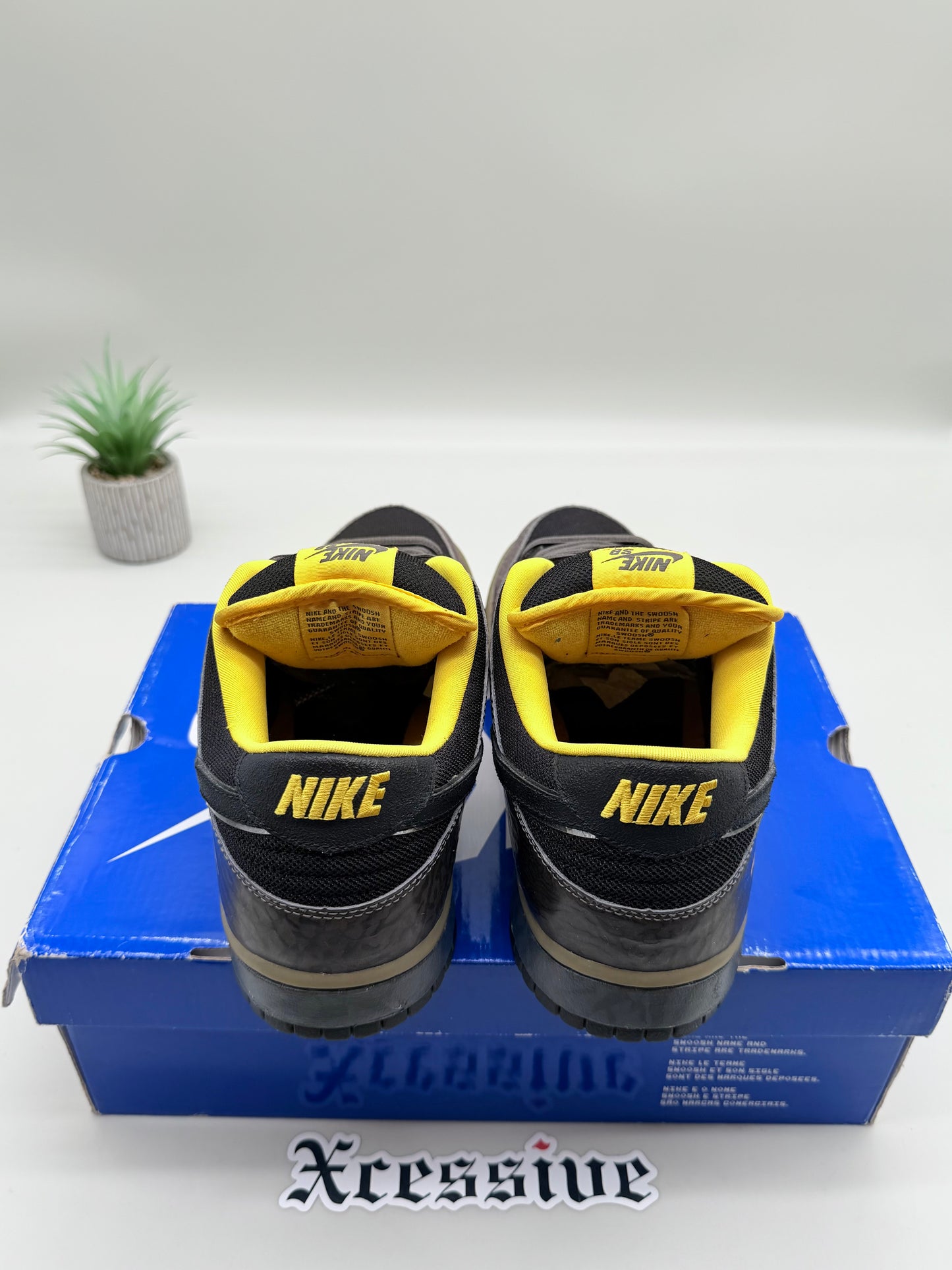 Nike SB Dunk Low Yellow Curb
