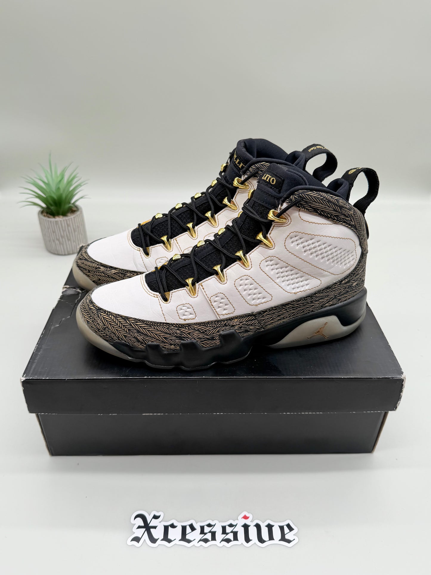 Jordan 9 Doernbecher Pollito