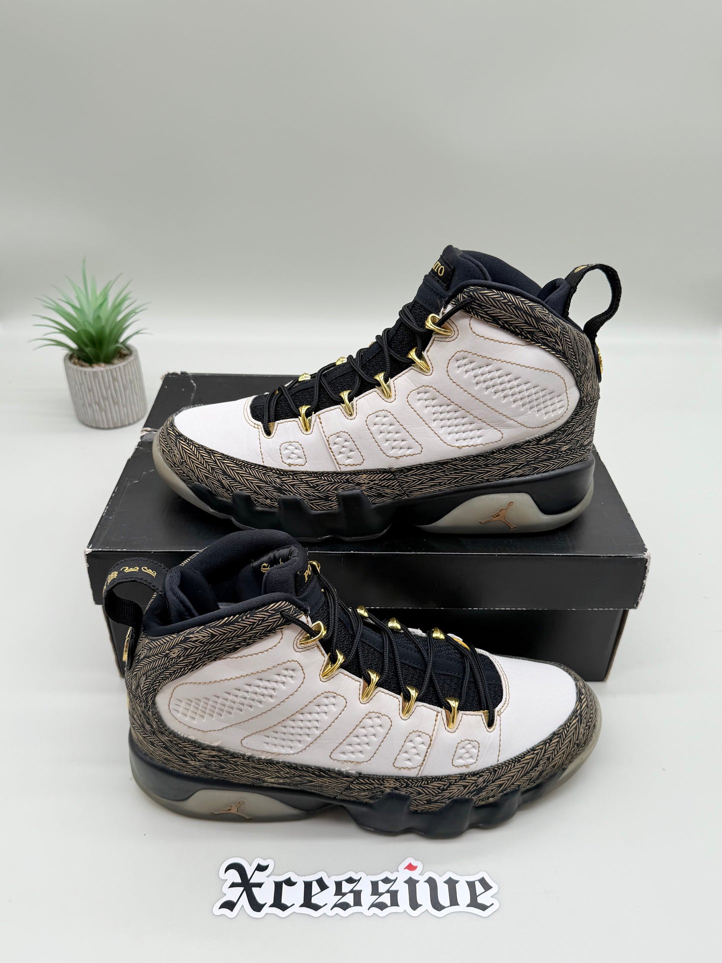 Jordan 9 Doernbecher Pollito