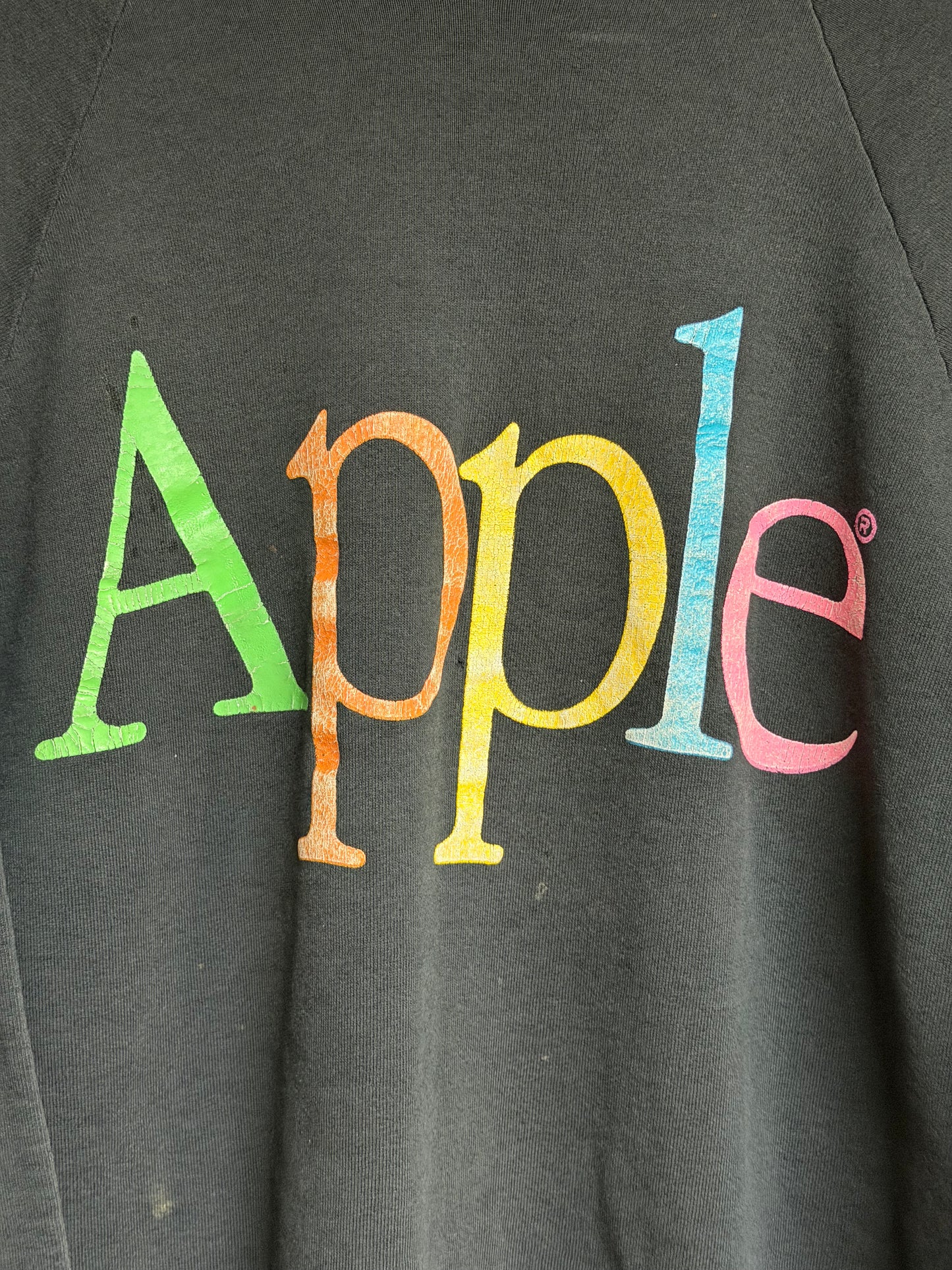 Vintage Apple Computers Crewneck