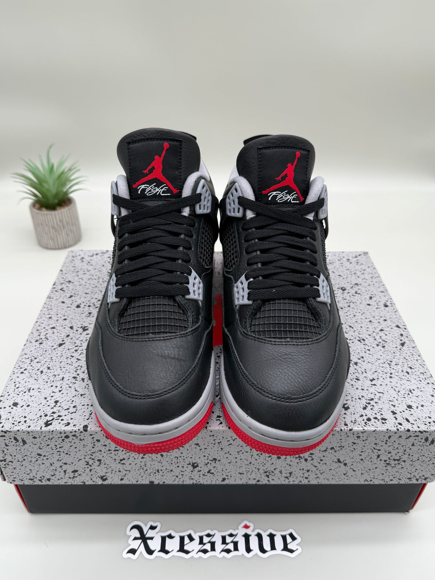 Jordan 4 Bred Reimagined