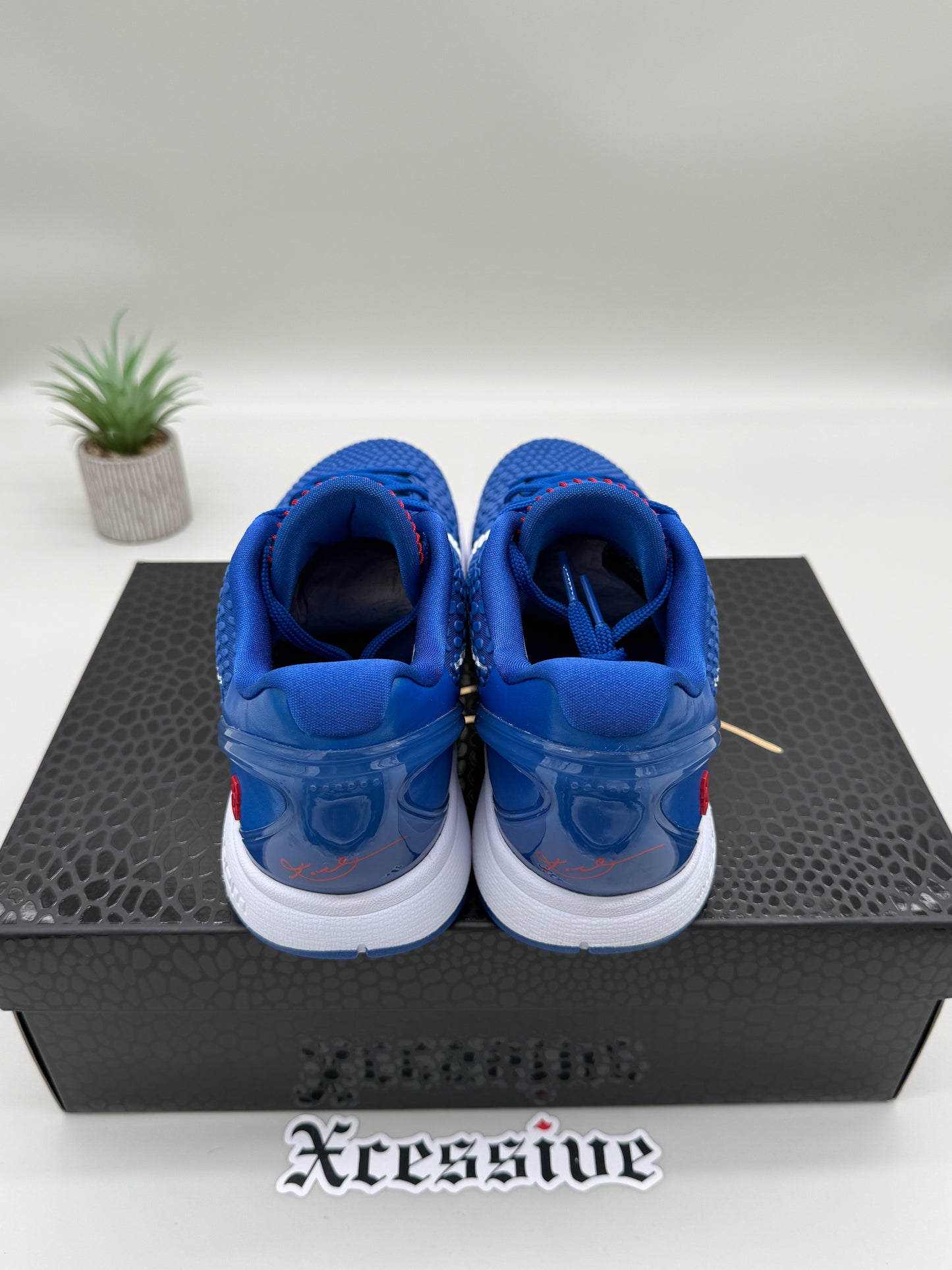 Nike Kobe 6 Dodgers