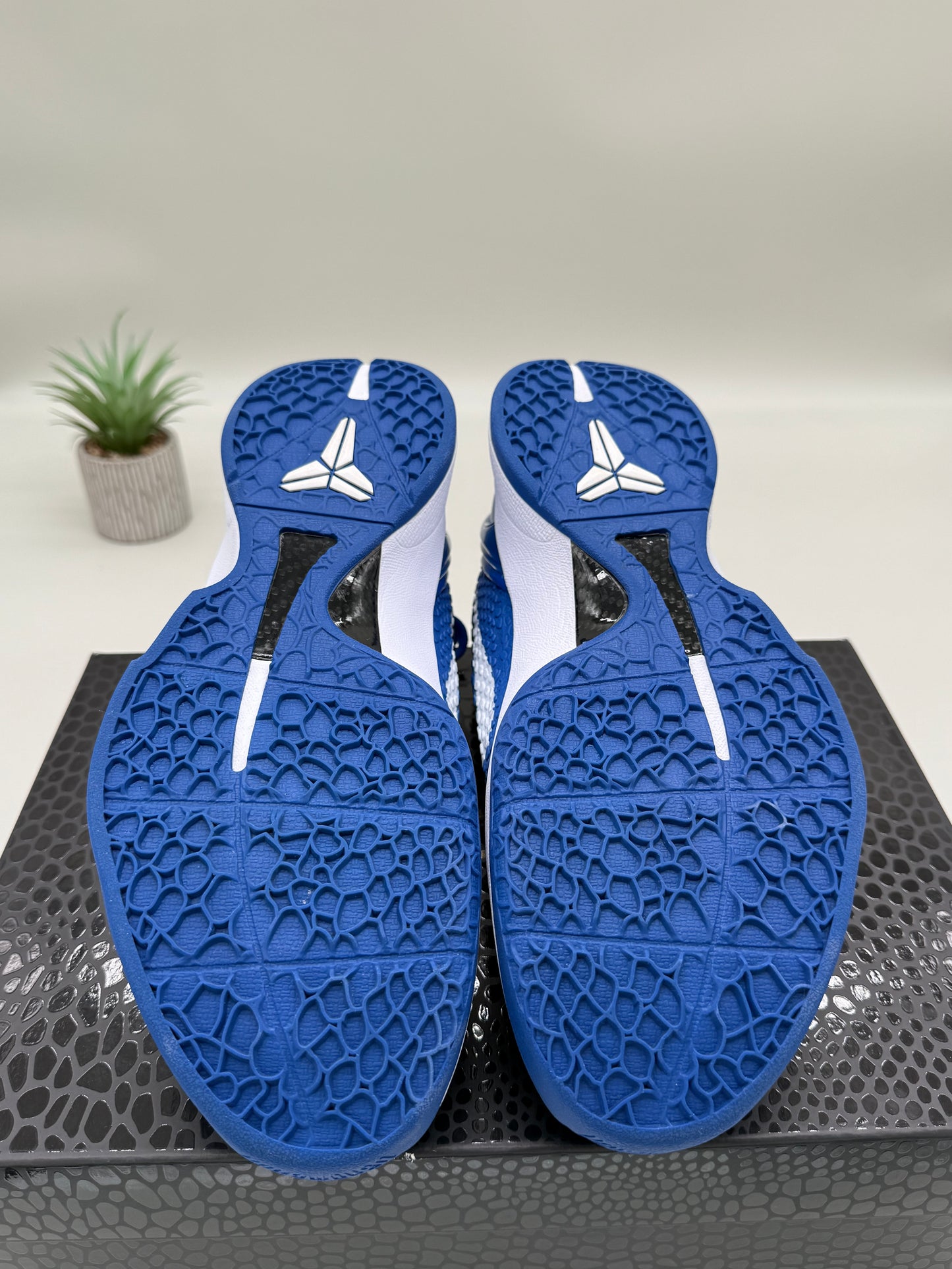 Nike Kobe 6 Dodgers