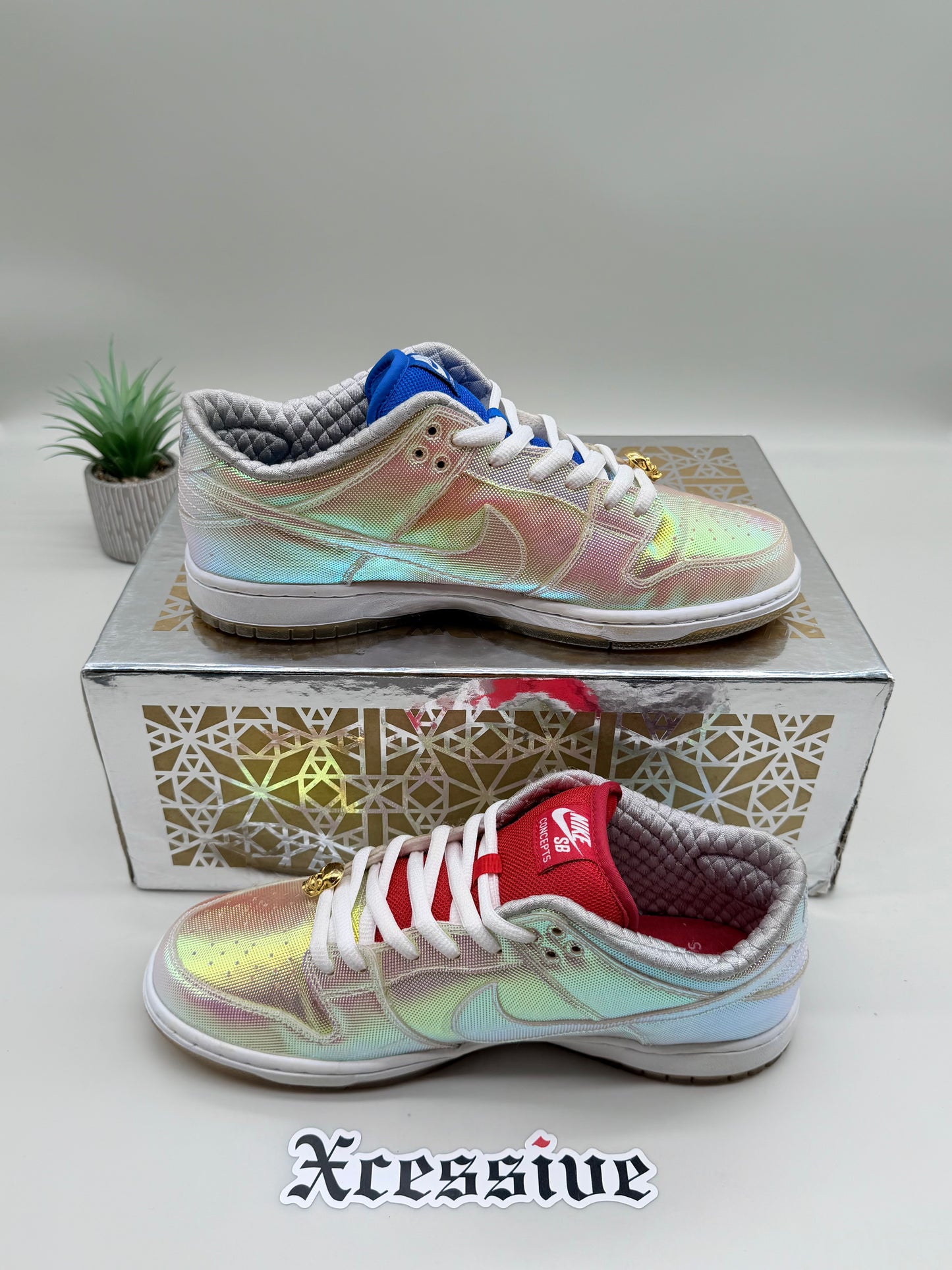 Nike SB Dunk Low Concepts Holy Grail