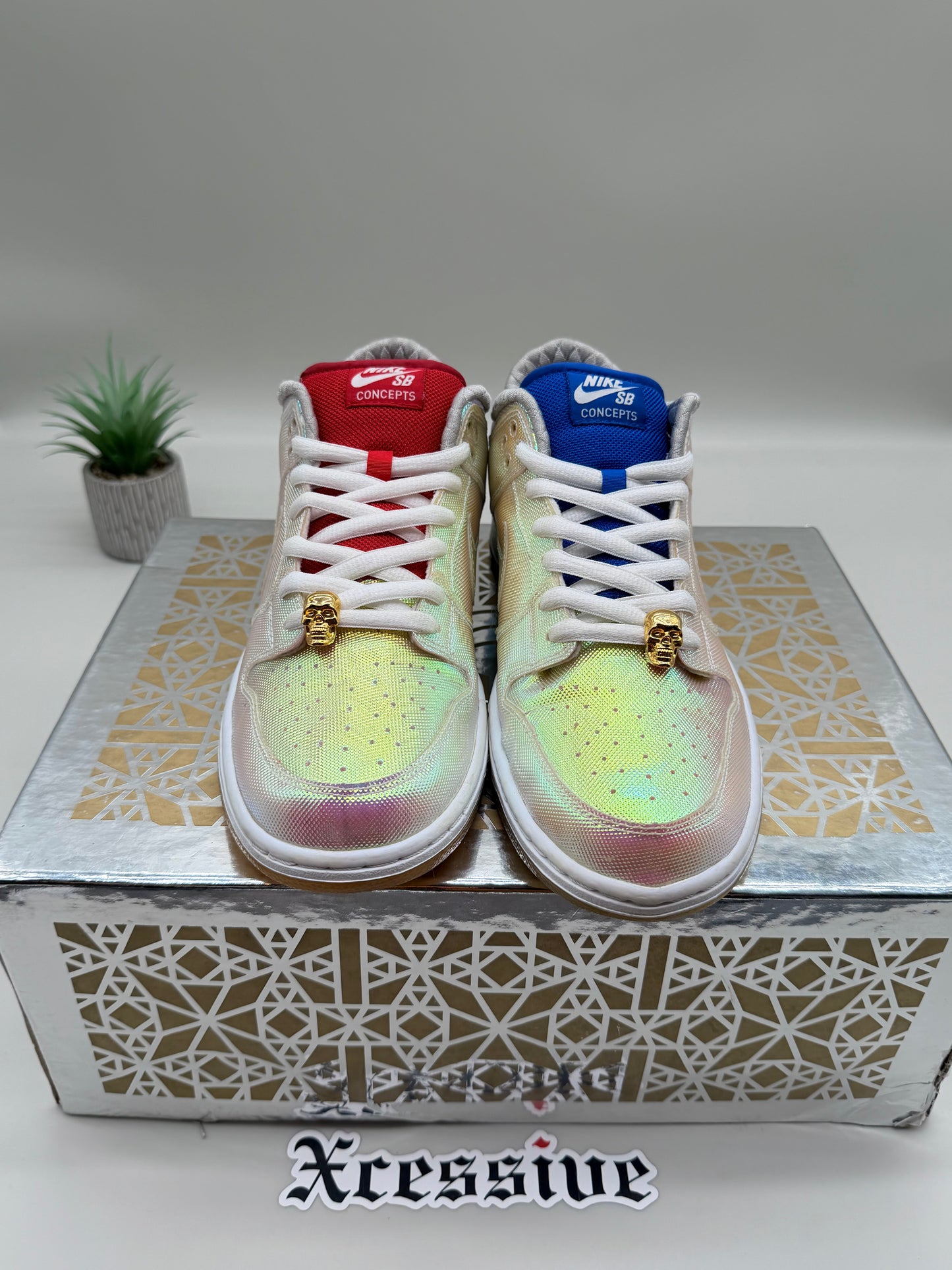 Nike SB Dunk Low Concepts Holy Grail