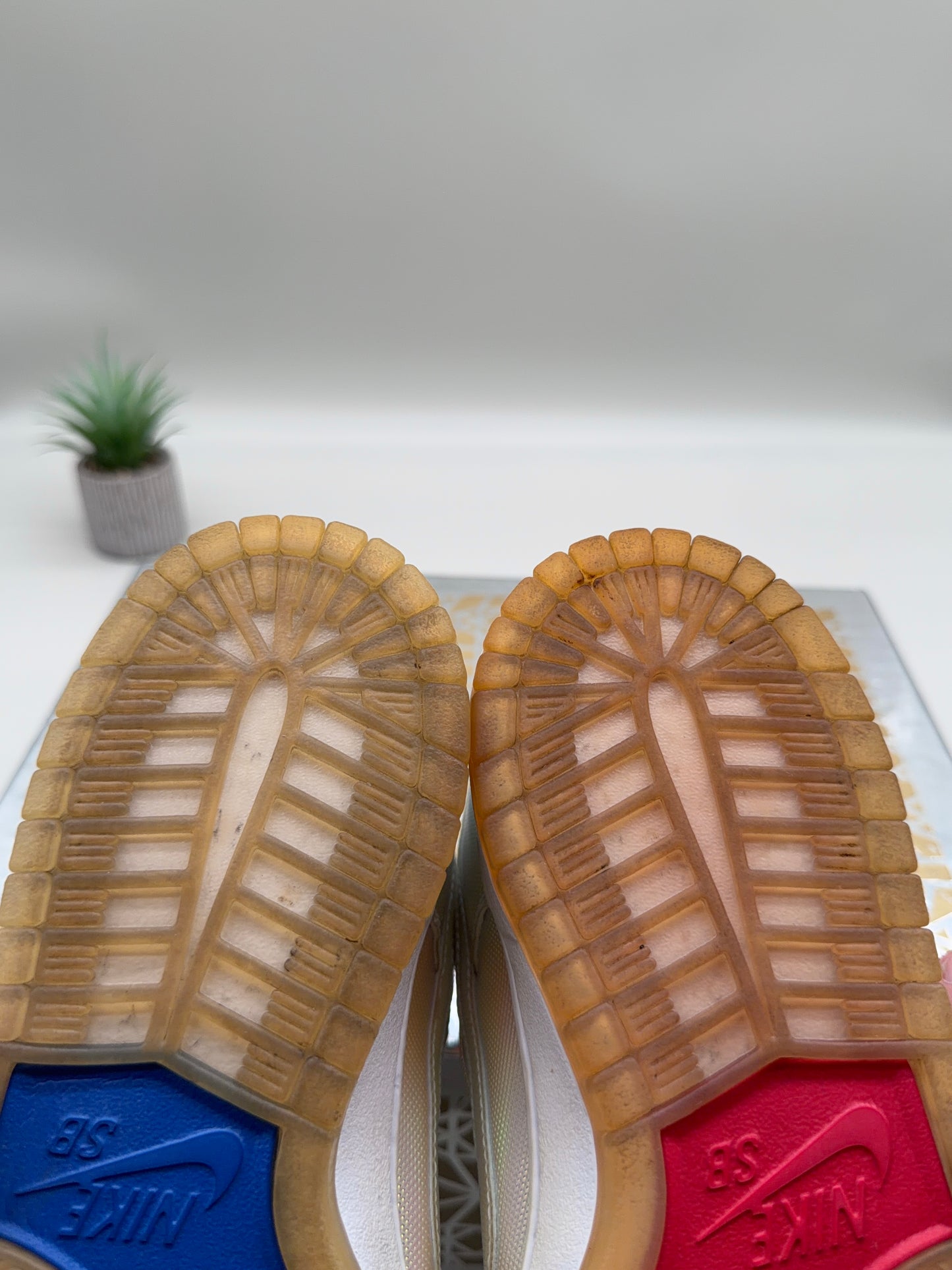 Nike SB Dunk Low Concepts Holy Grail