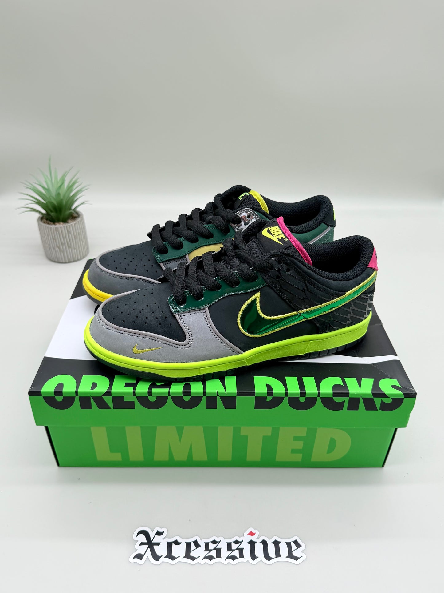 Nike Dunk Low What the Duck Home Oregon