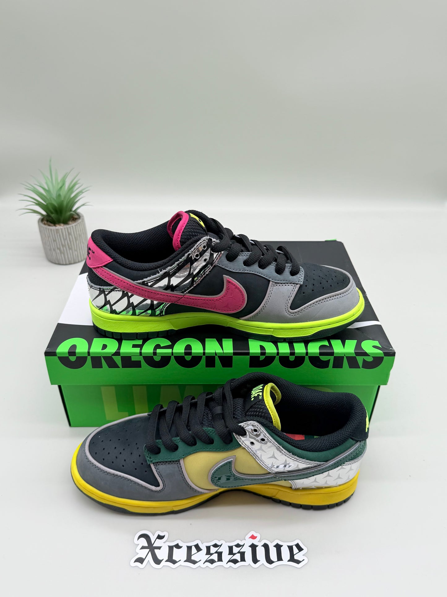 Nike Dunk Low What the Duck Home Oregon