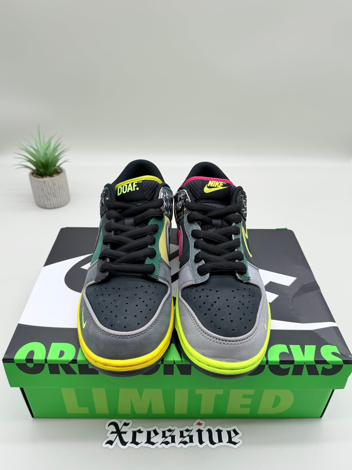 Nike Dunk Low What the Duck Home Oregon
