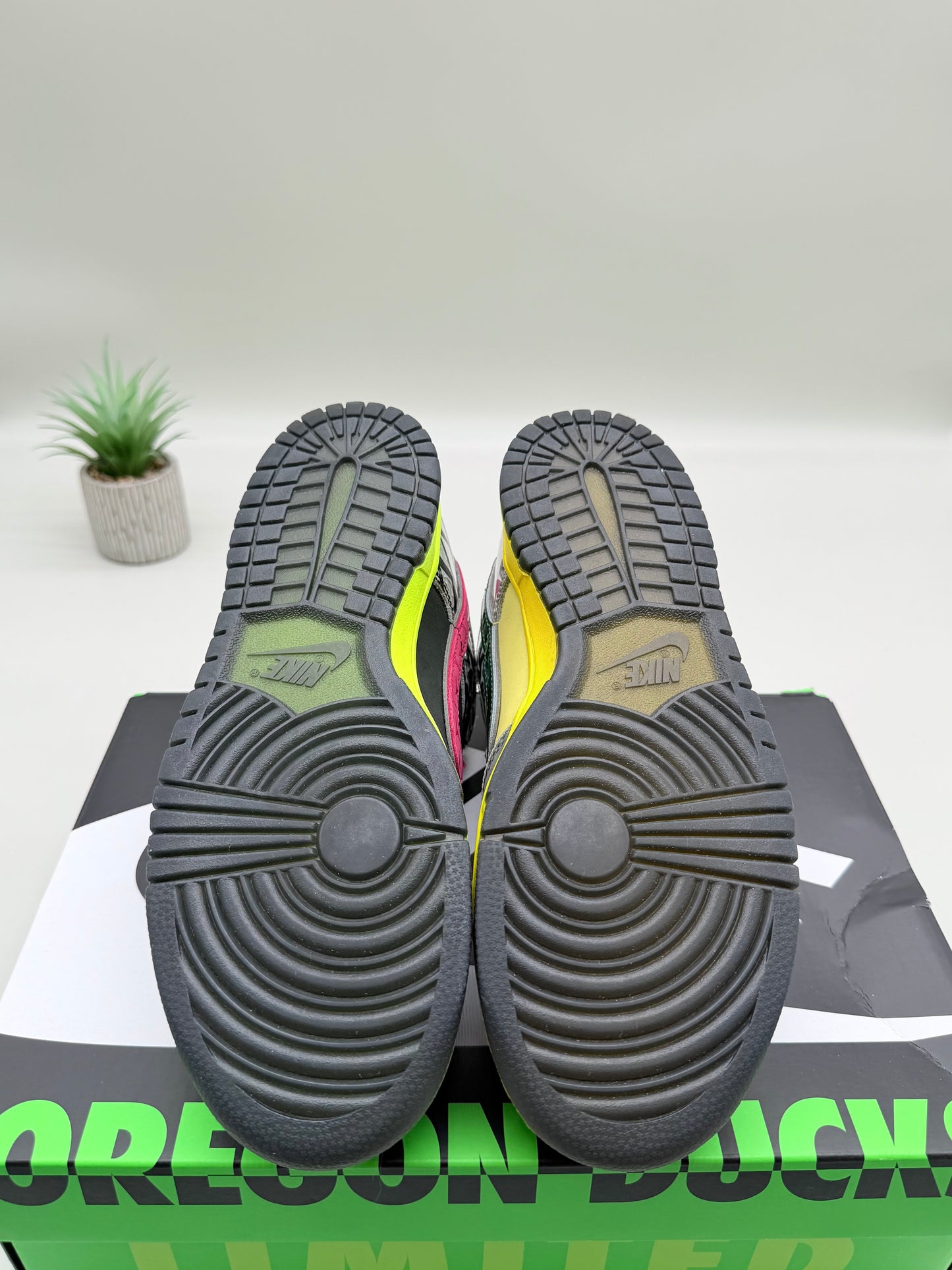 Nike Dunk Low What the Duck Home Oregon