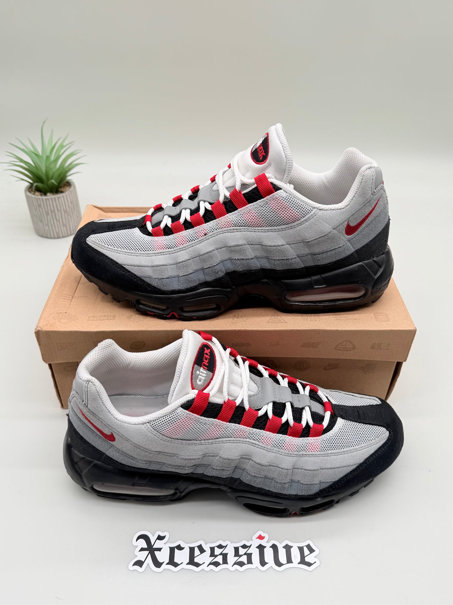 Nike Air Max 95 Chili Red (2010)