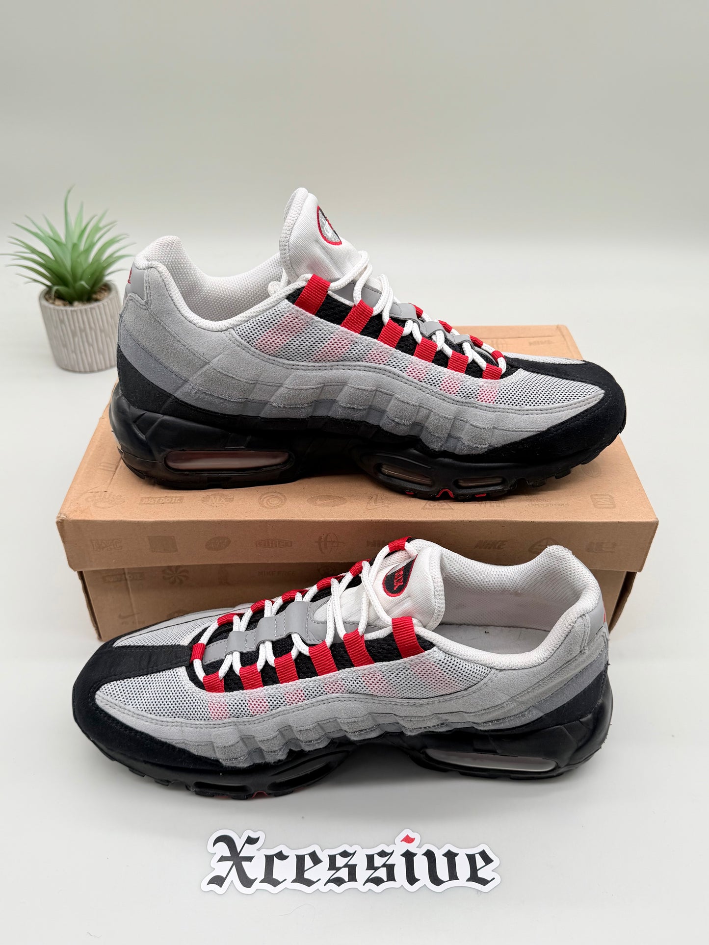 Nike Air Max 95 Chili Red (2010)