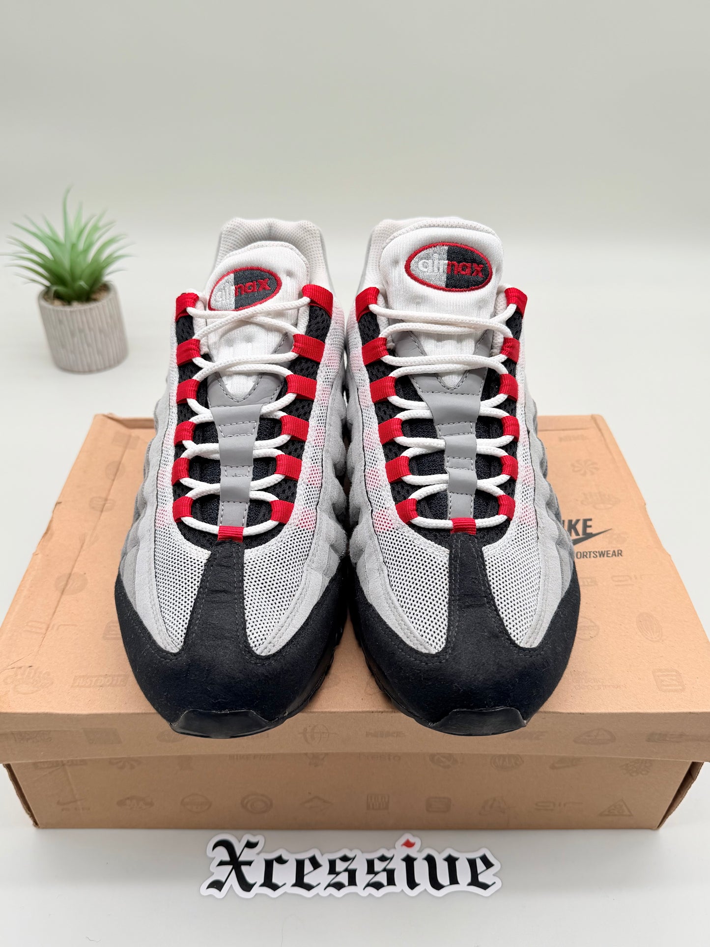 Nike Air Max 95 Chili Red (2010)