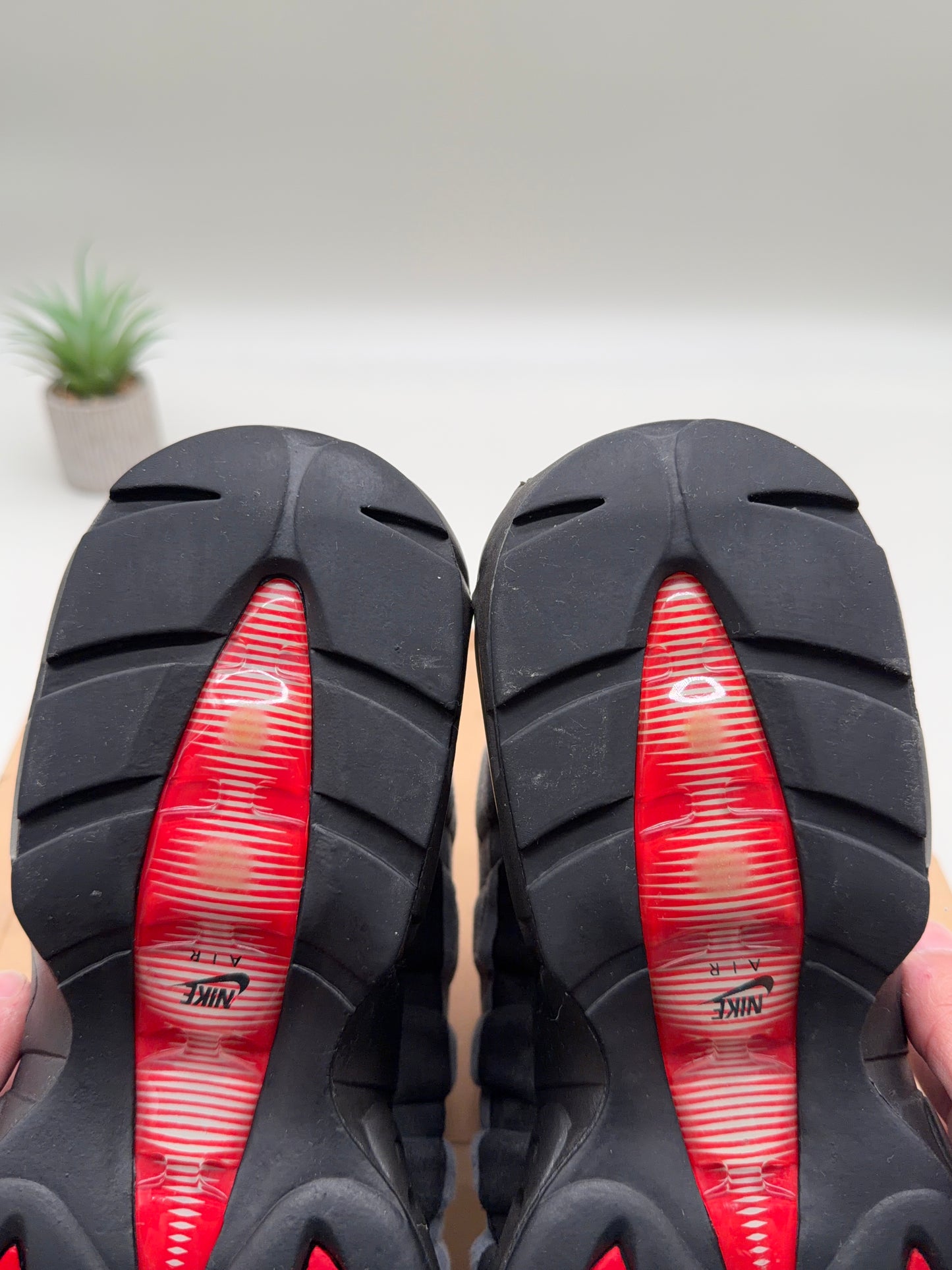 Nike Air Max 95 Chili Red (2010)