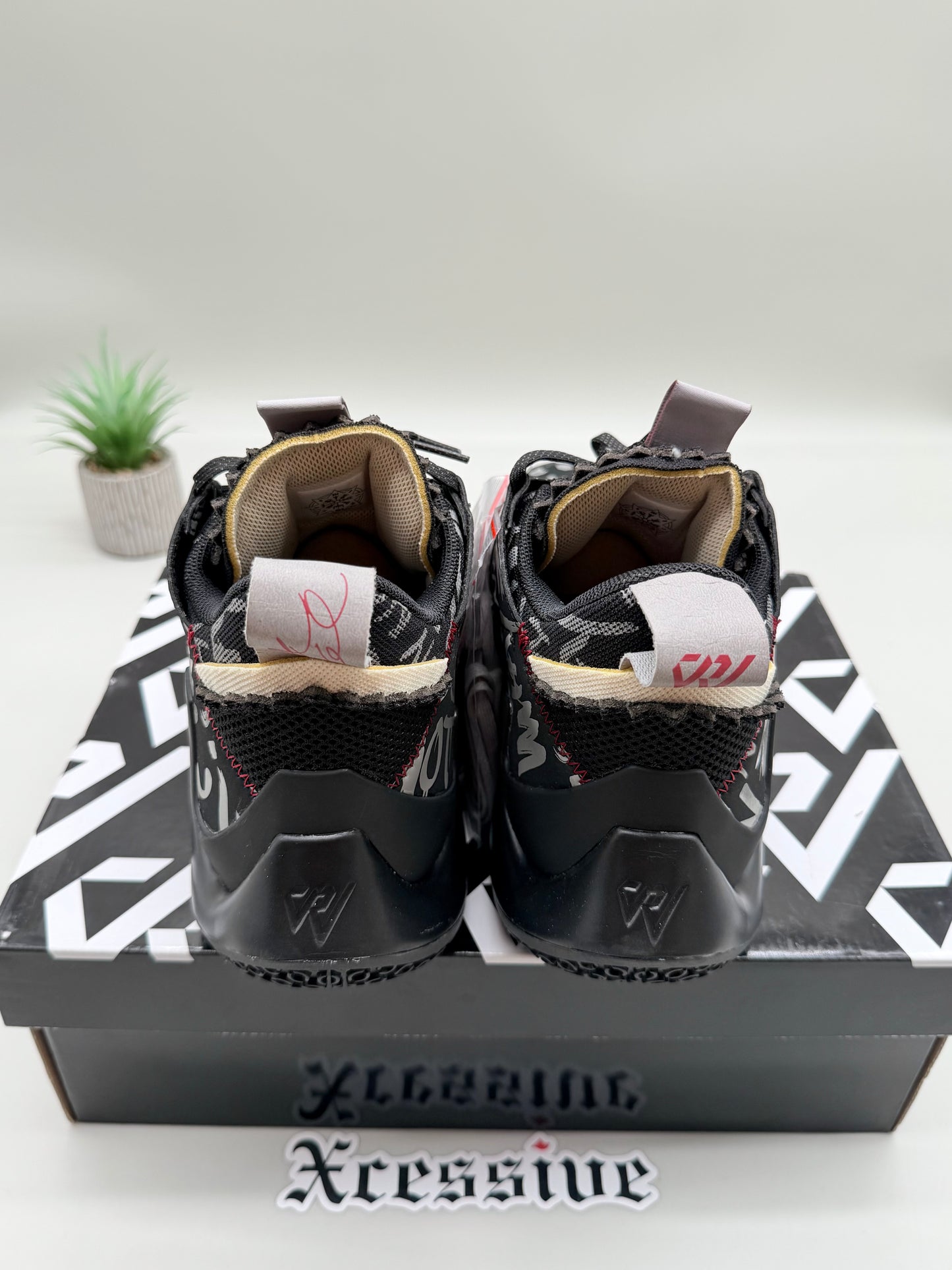Jordan Why Not Zer0.2 SE Oklahoma University PE