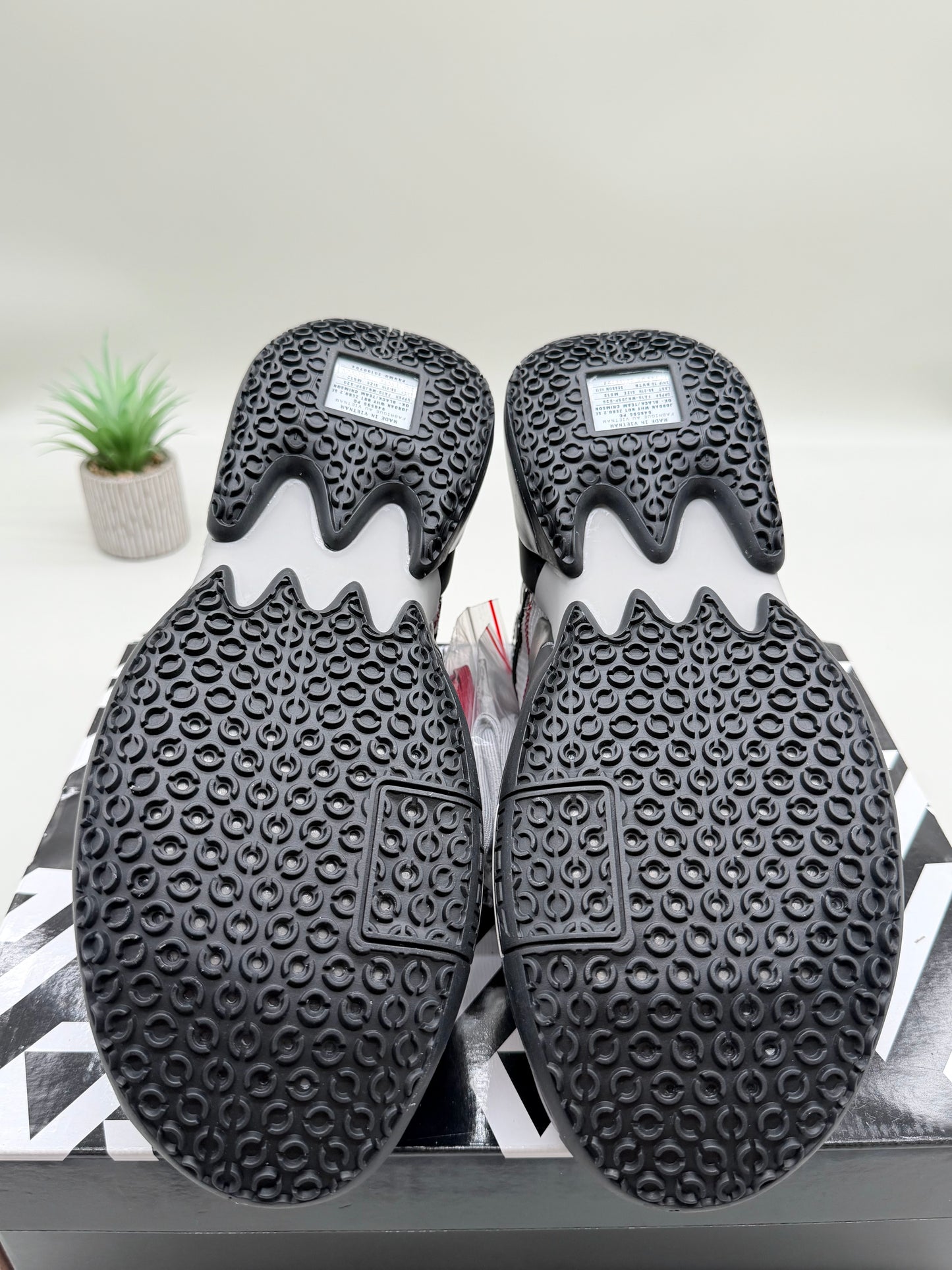 Jordan Why Not Zer0.2 SE Oklahoma University PE